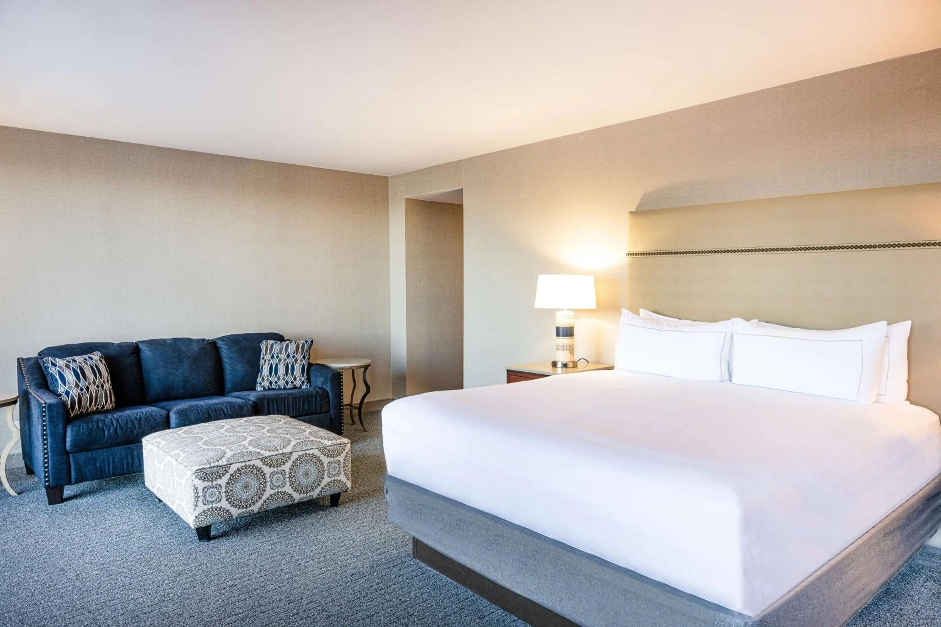 Living room, Bed in Hilton Richardson Dallas, TX