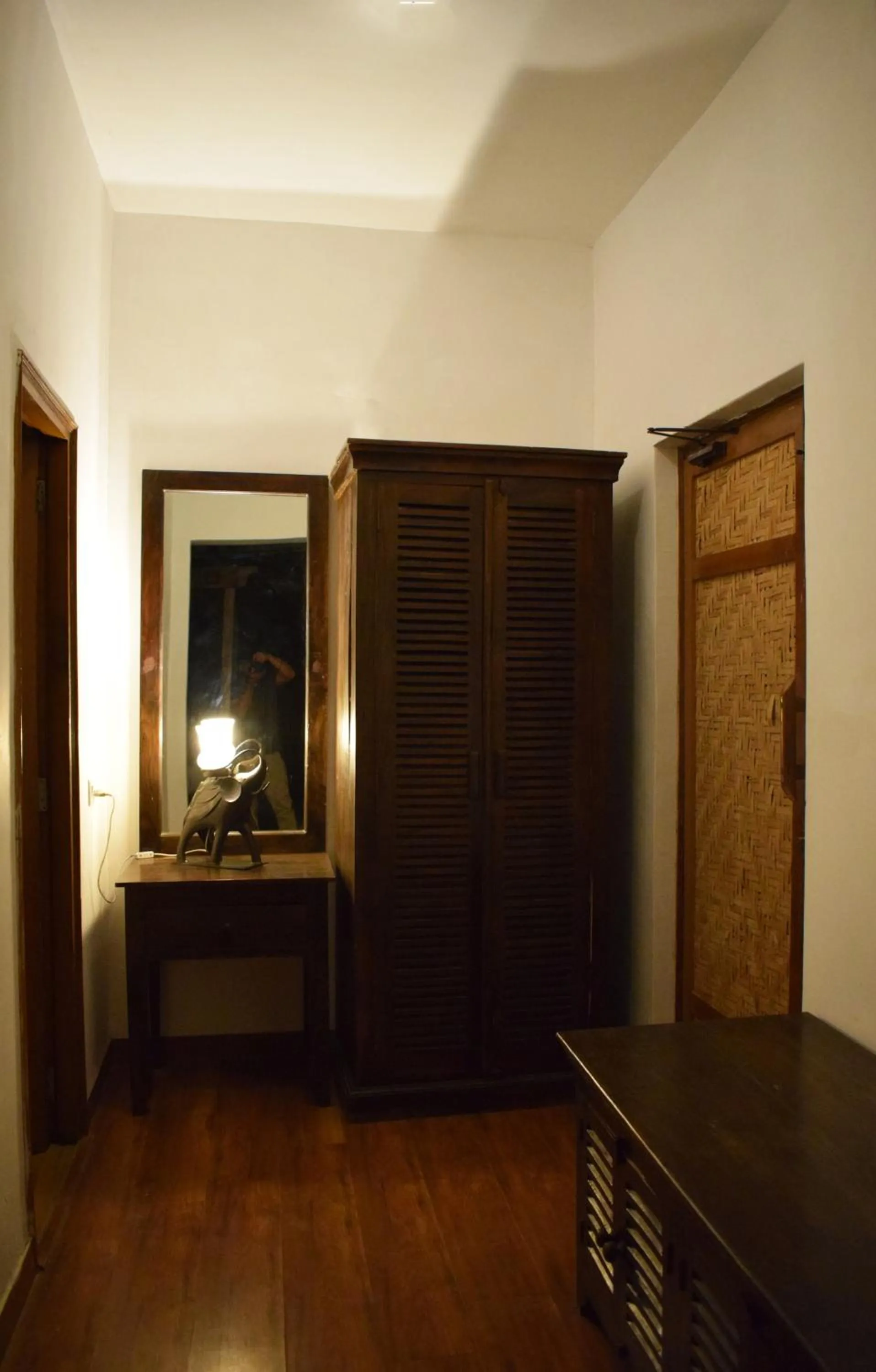 TV and multimedia in Kumbhalgarh Forest Retreat