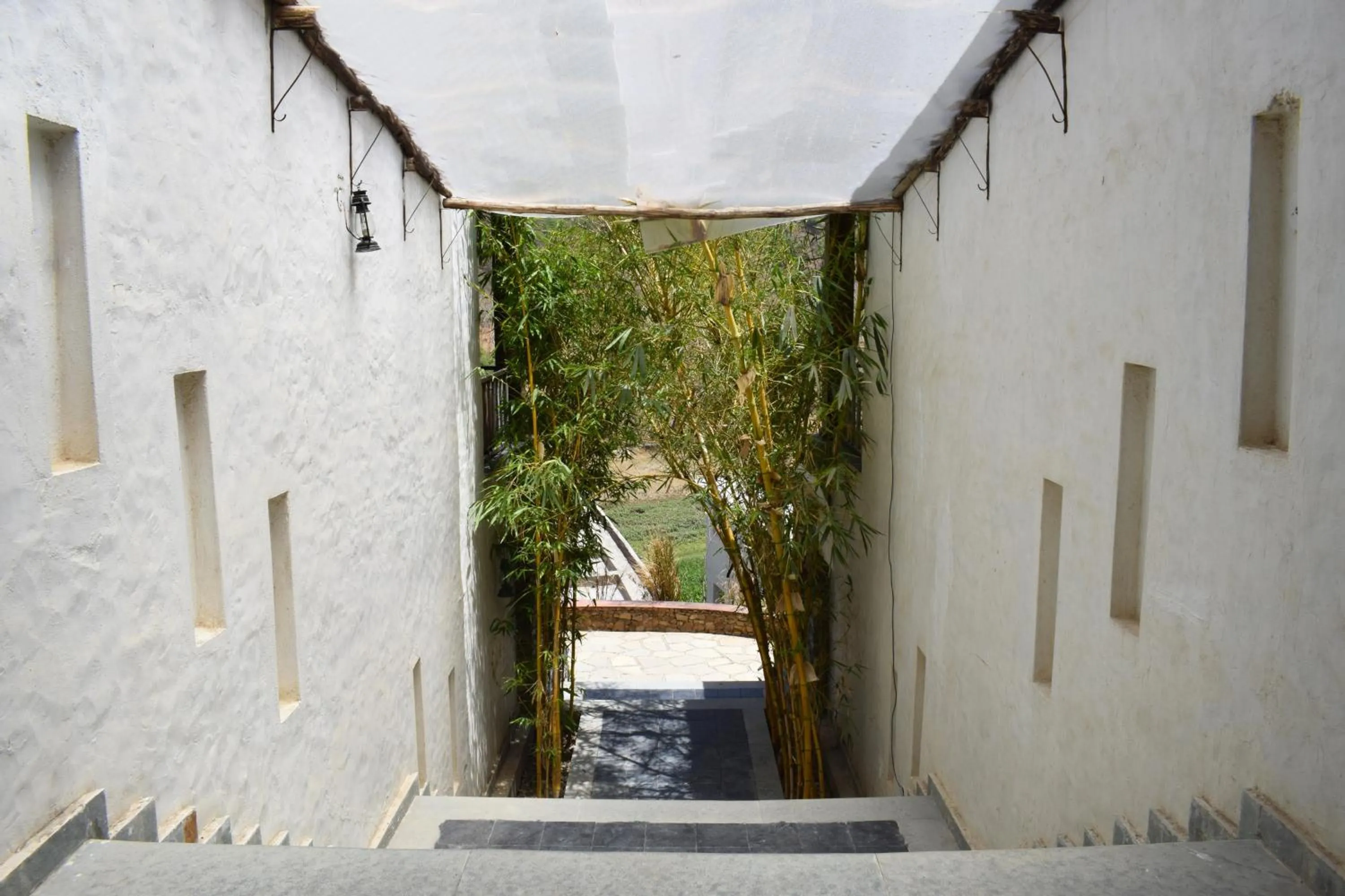 Facade/entrance in Kumbhalgarh Forest Retreat