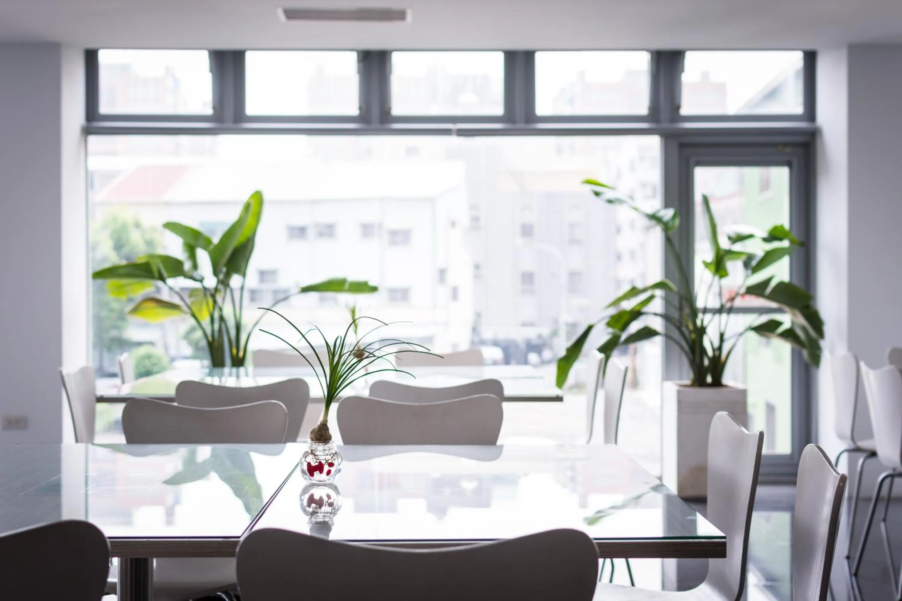 Restaurant/places to eat in HOTEL HI - Xinmin