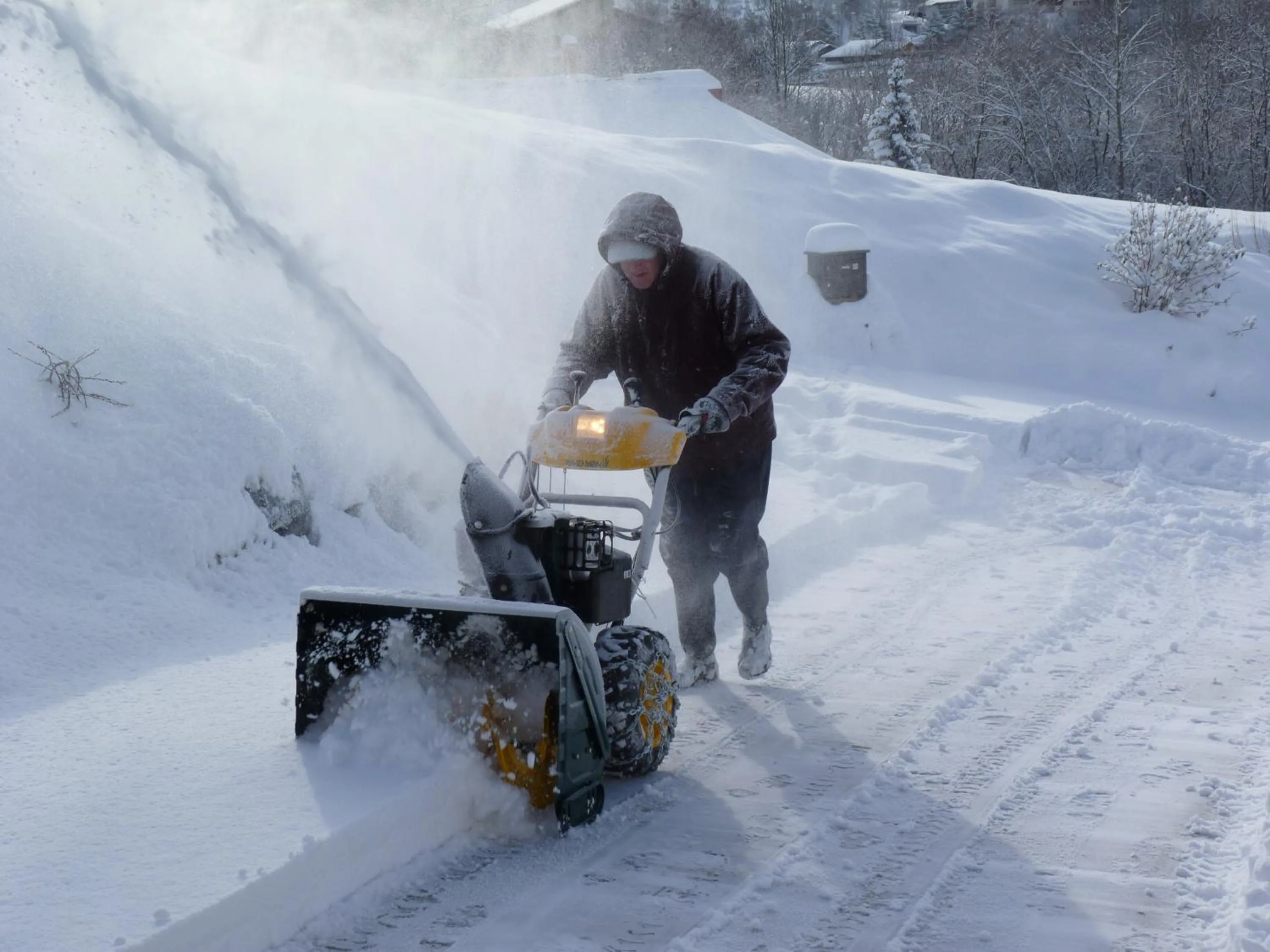 People in Chalet des Alpes