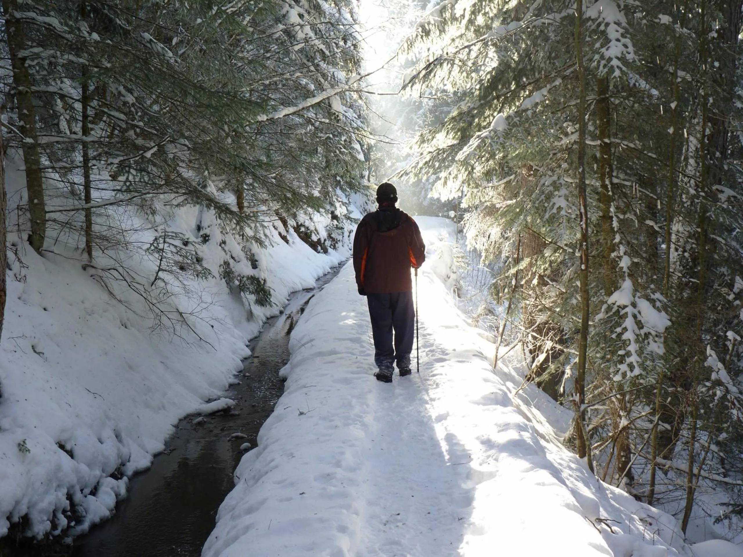 Hiking in Chalet des Alpes