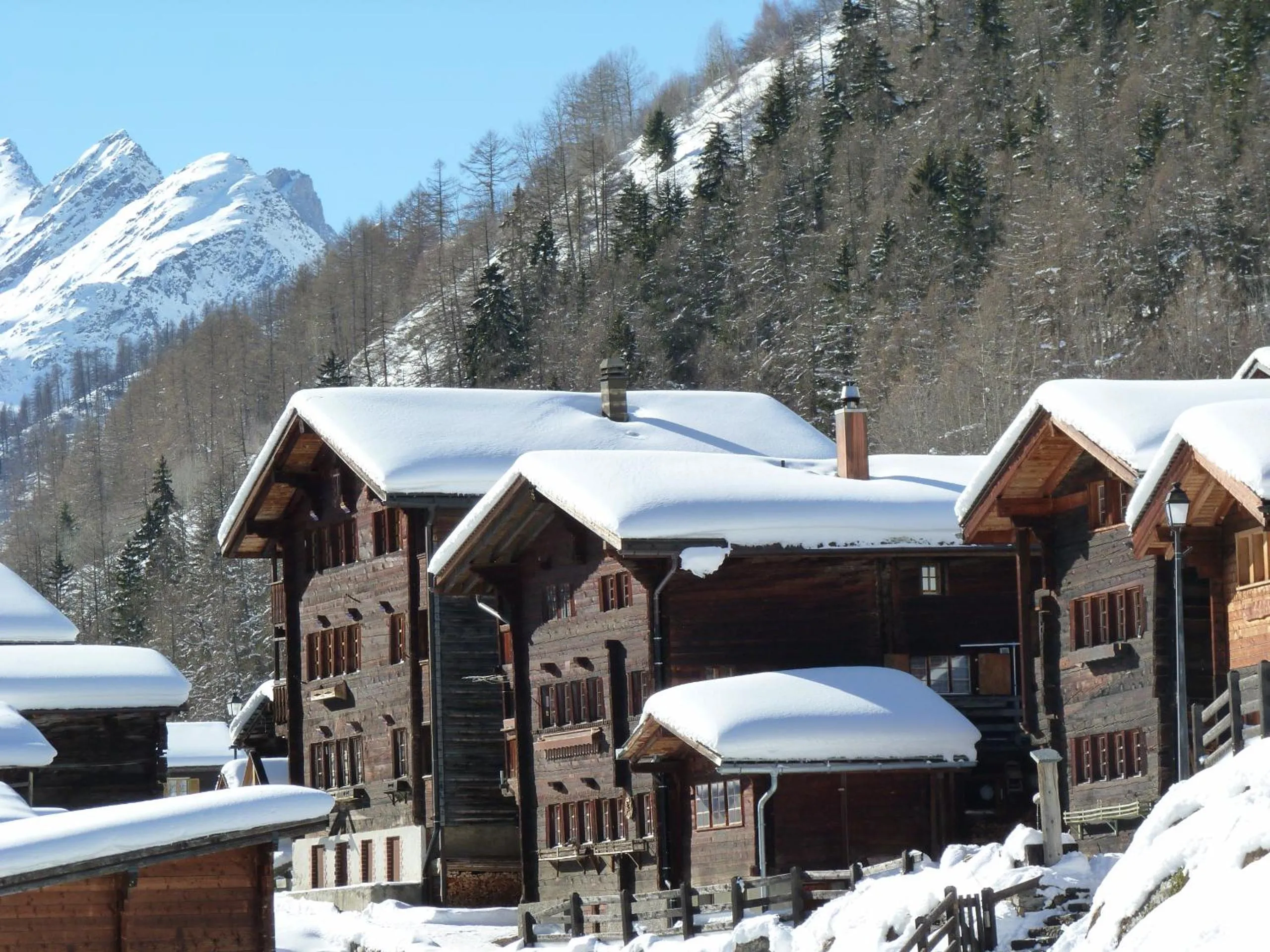 Area and facilities in Chalet des Alpes