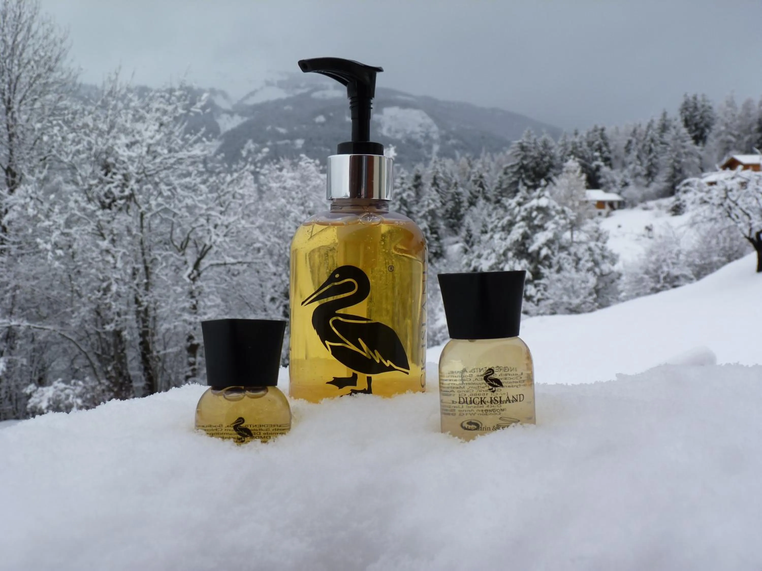 Bathroom in Chalet des Alpes