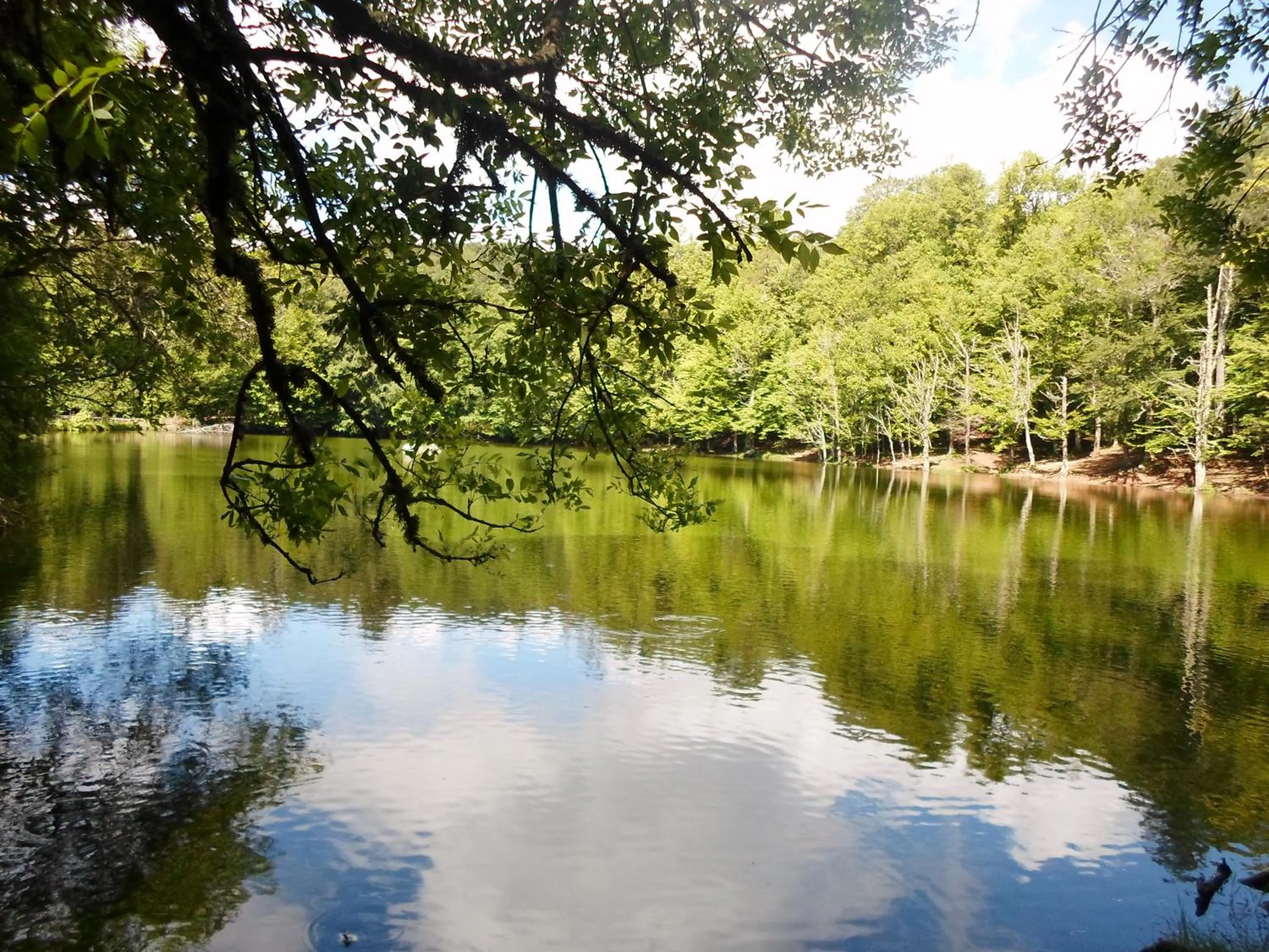 Natural landscape in Albergo San Giorgio