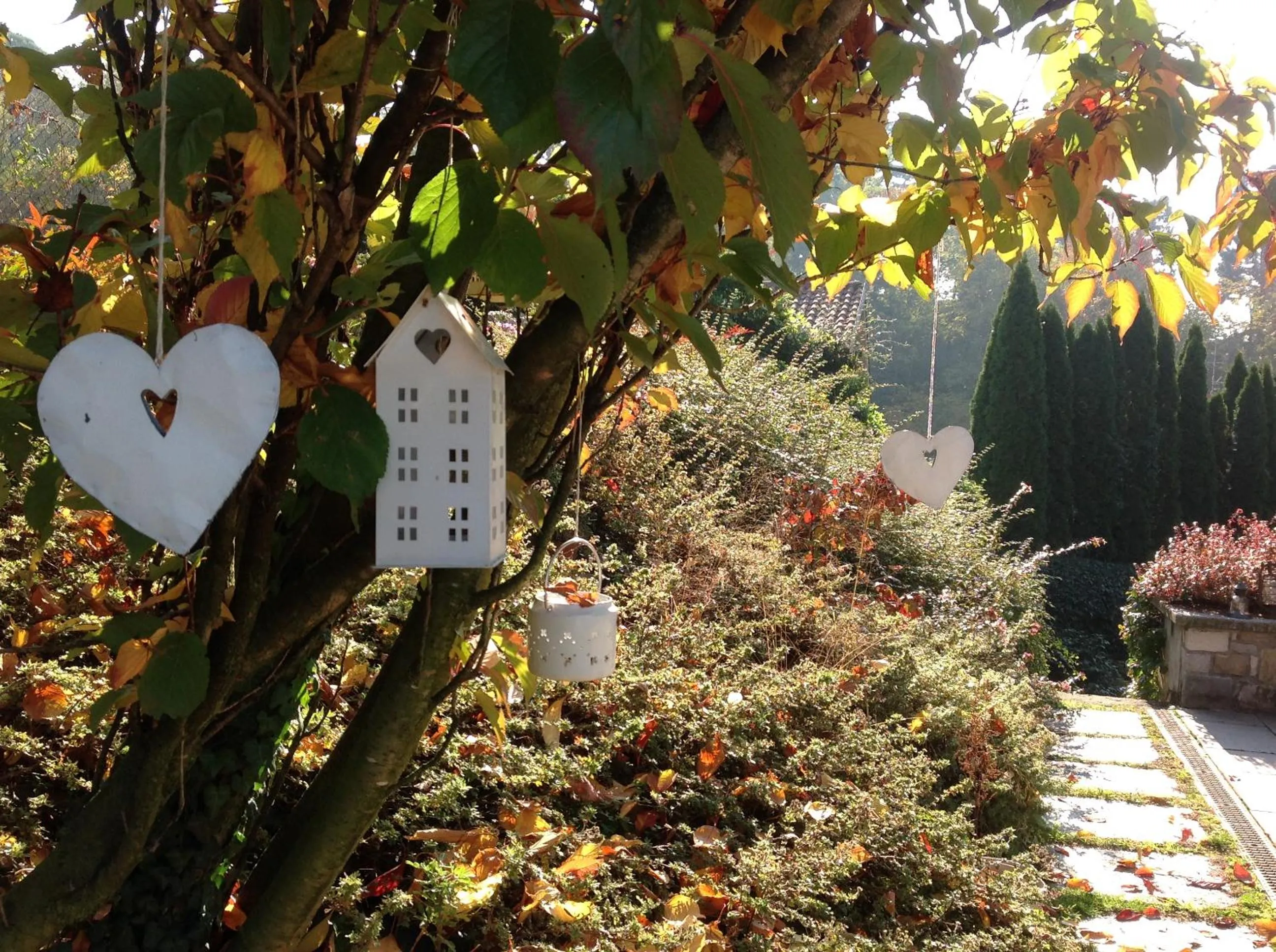 Property building in Al Chiarè