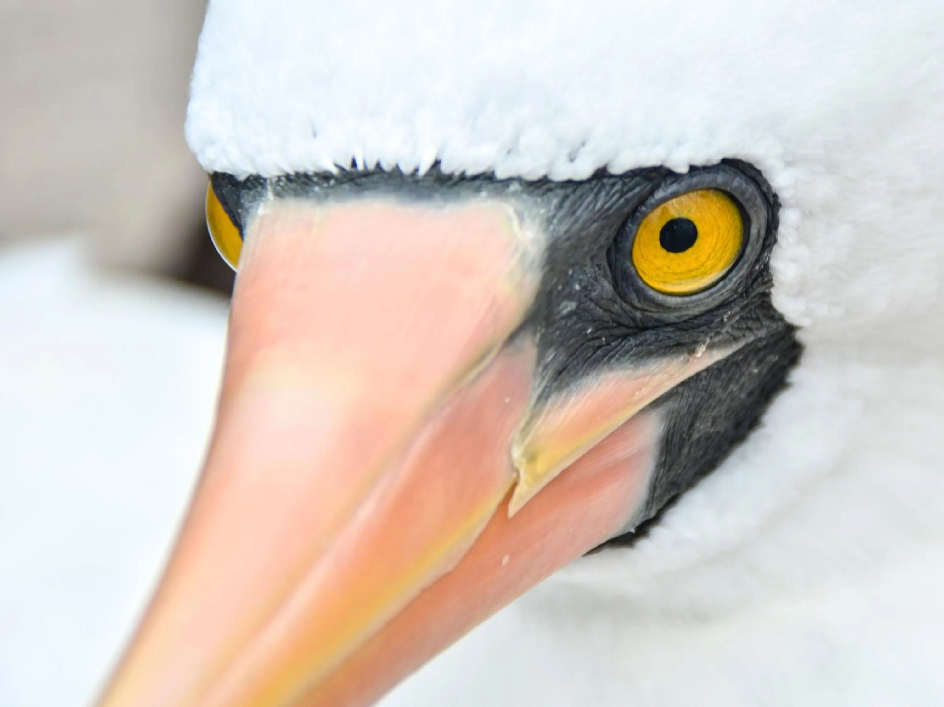 Off site in Hotel La Jungla