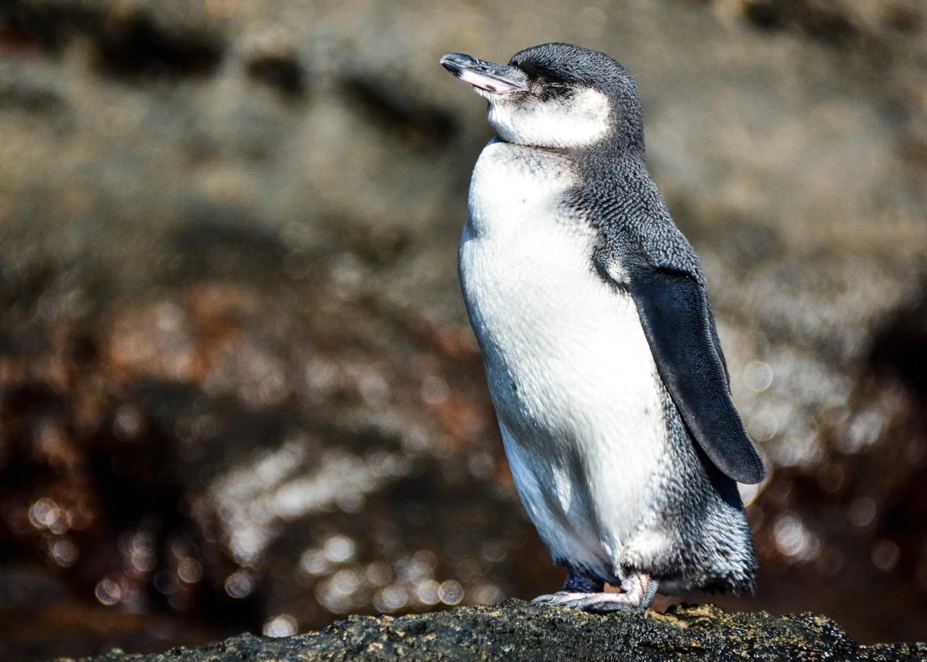 Off site in Hotel La Jungla