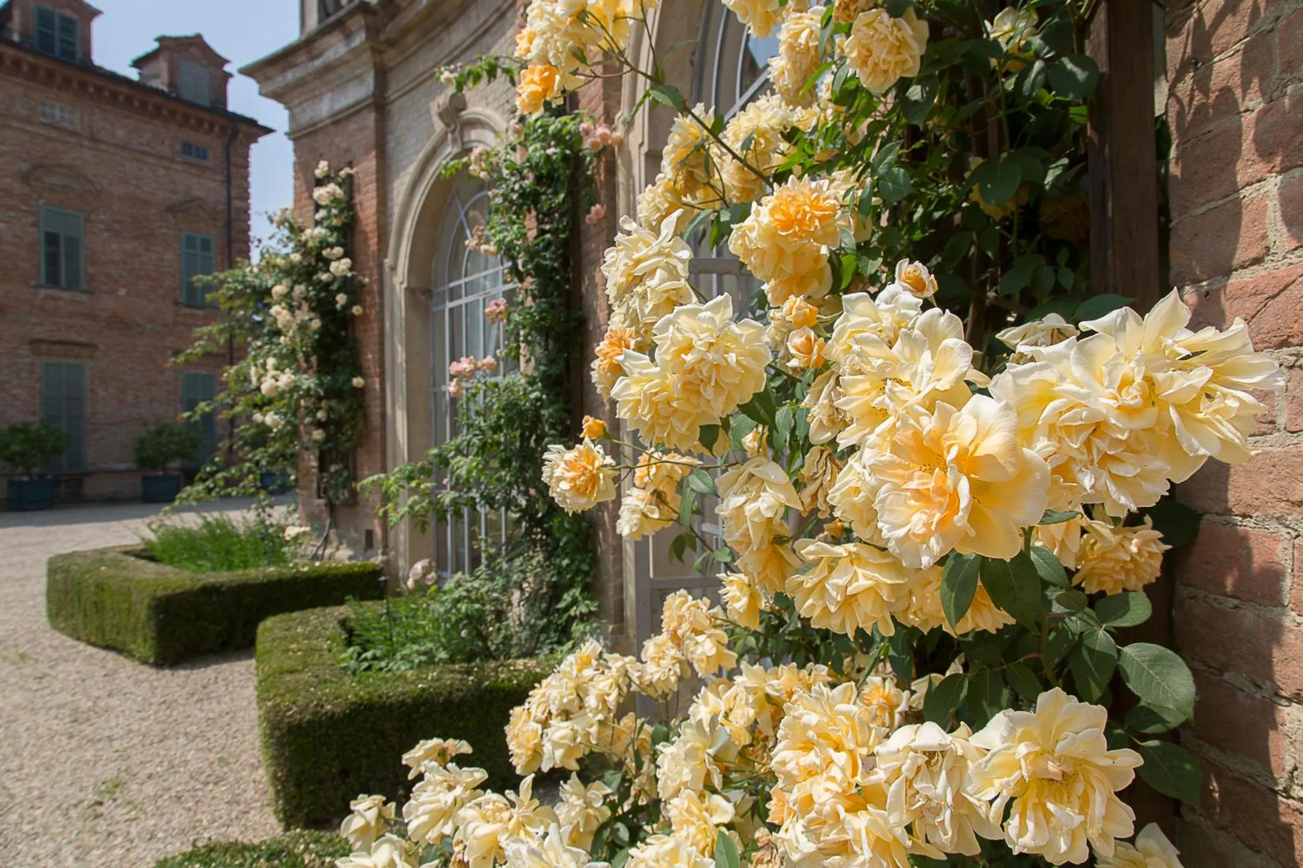 Garden in Marchesi Alfieri - Cantine e Ospitalità
