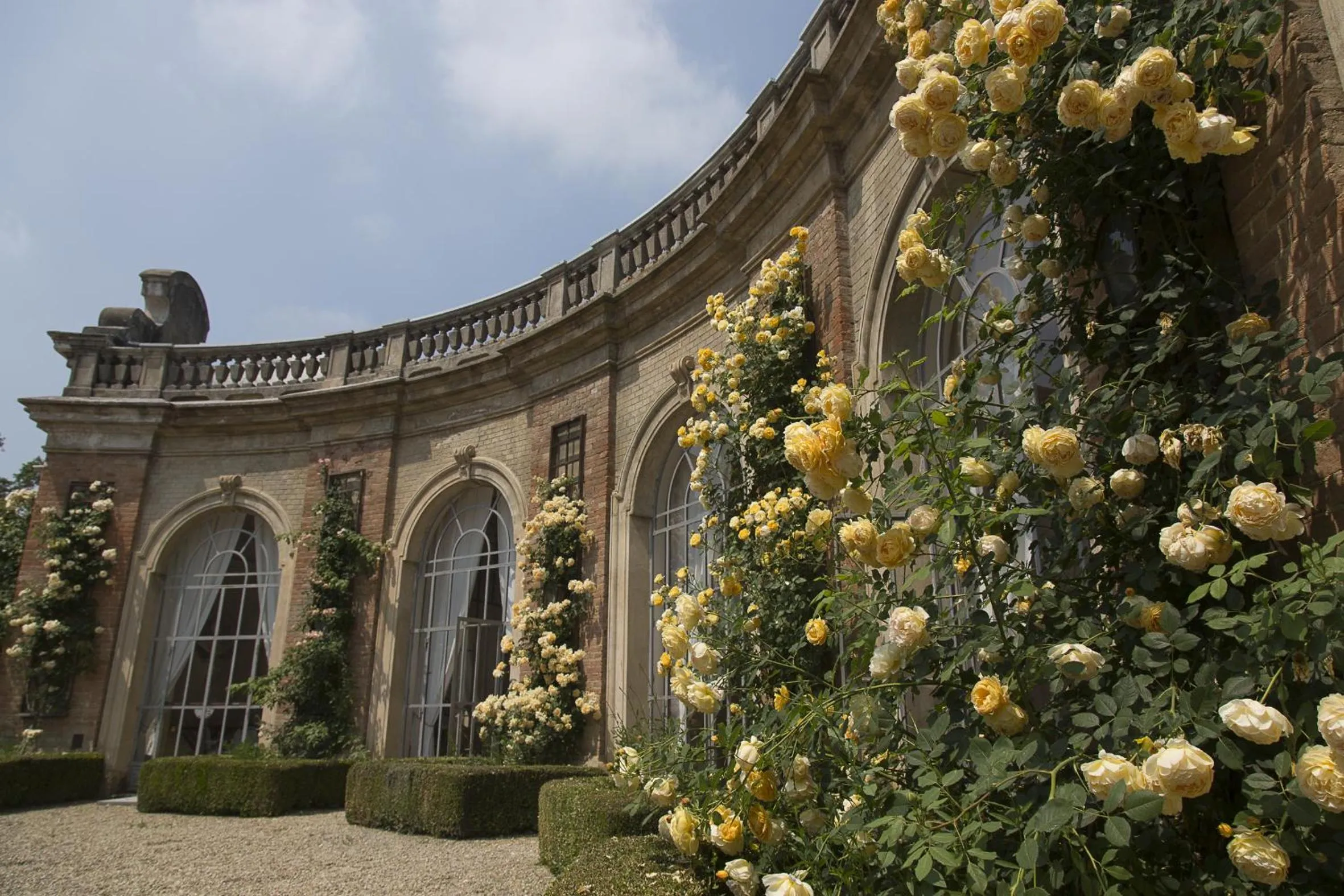 Decorative detail in Marchesi Alfieri - Cantine e Ospitalità