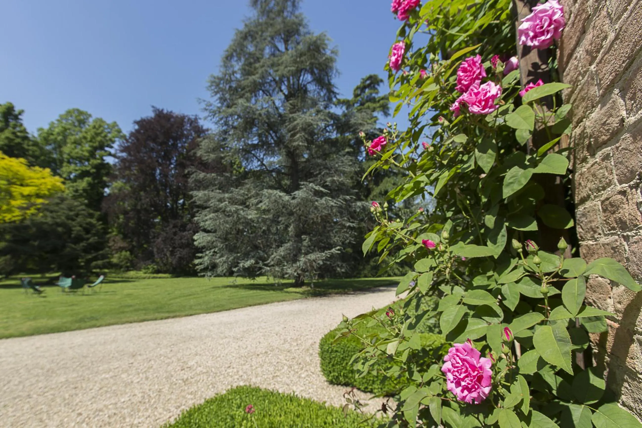 Garden in Marchesi Alfieri - Cantine e Ospitalità
