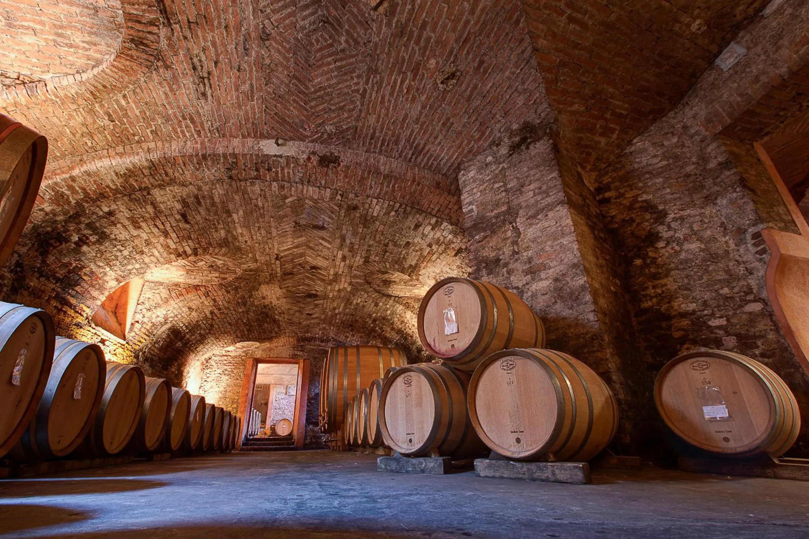 Activities in Marchesi Alfieri - Cantine e Ospitalità