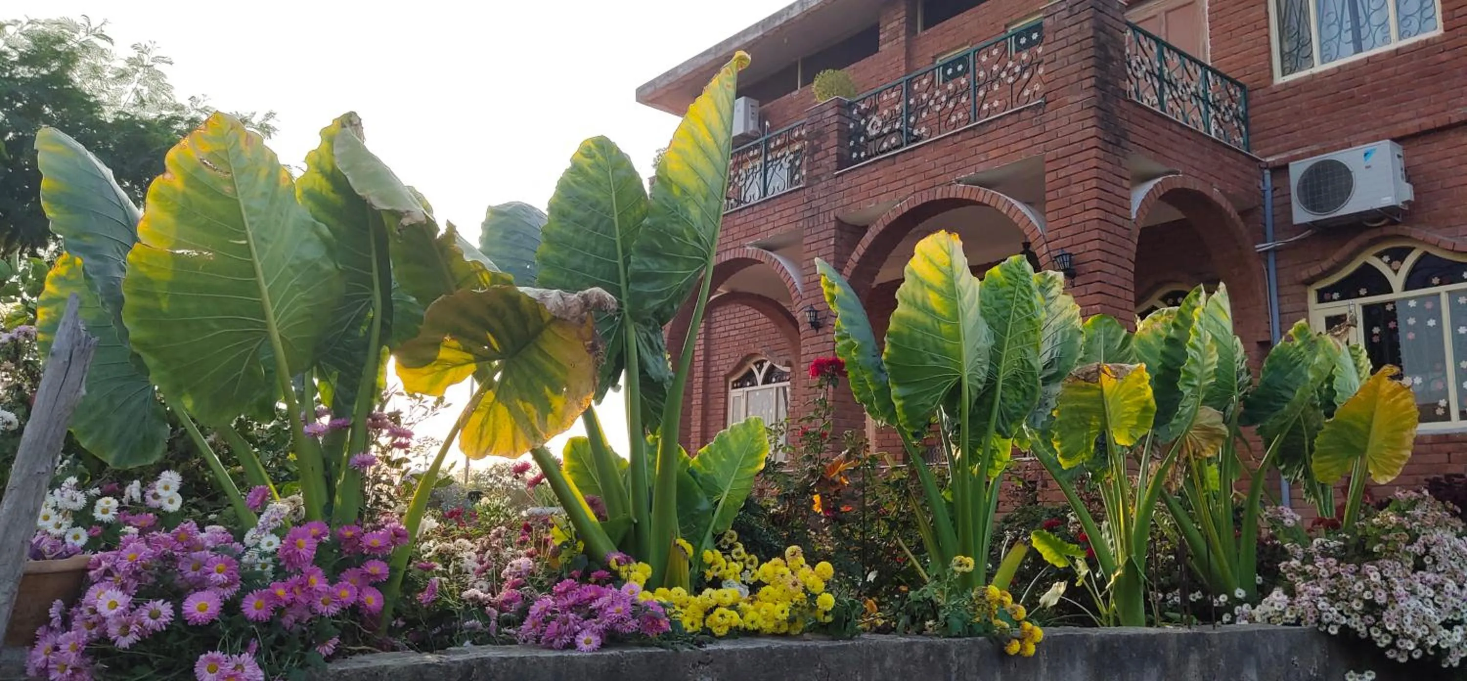 lalita homestay countryside