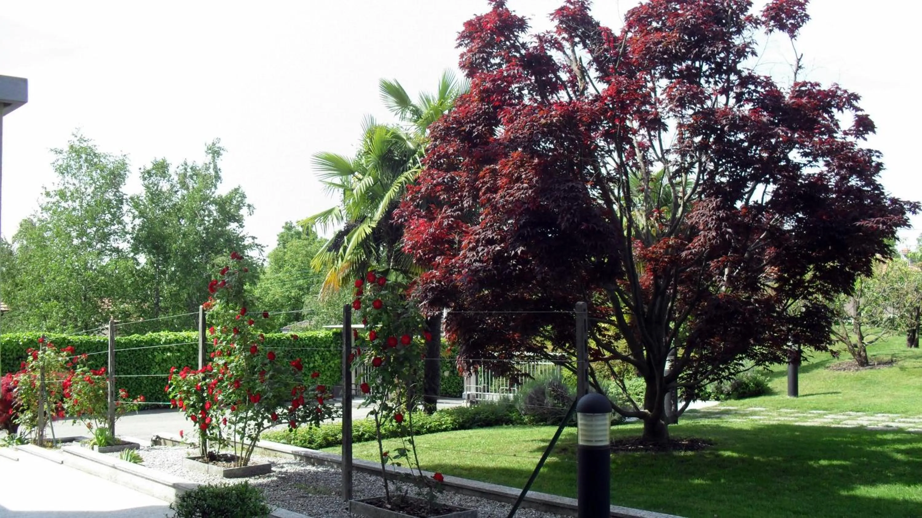Garden in Albergo Residence Isotta