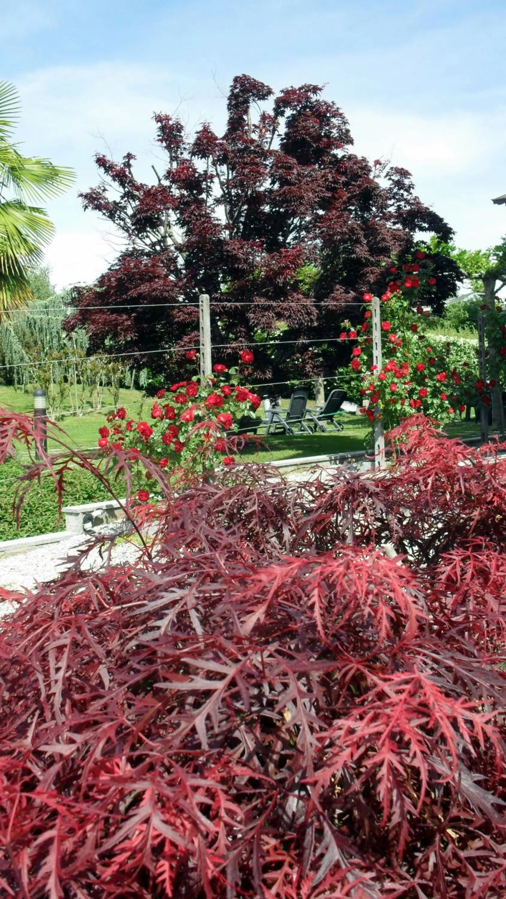 Other in Albergo Residence Isotta