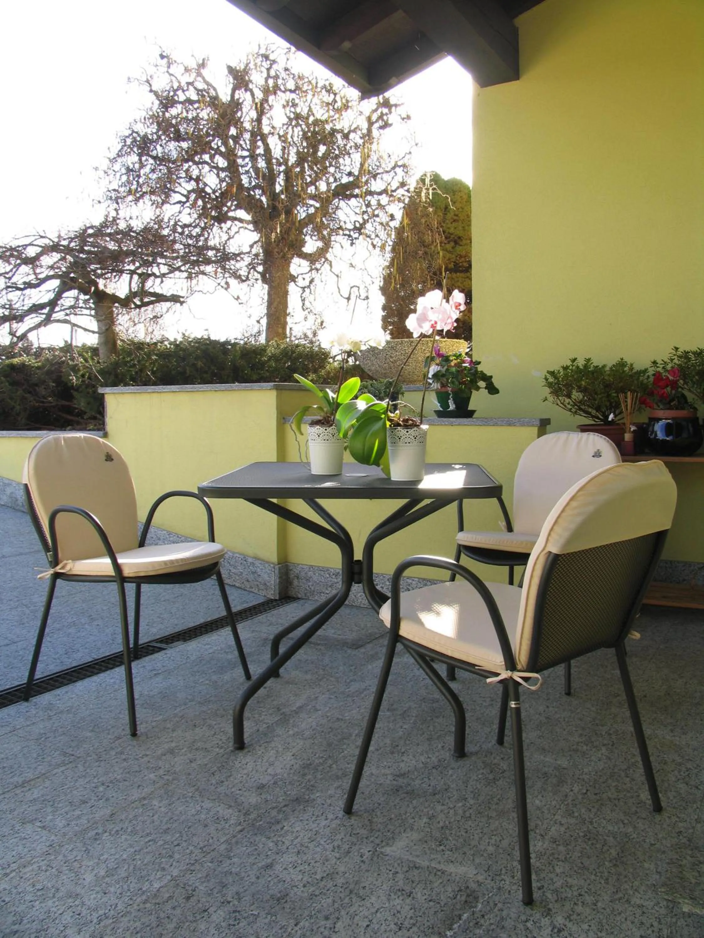 Balcony/Terrace in Albergo Residence Isotta