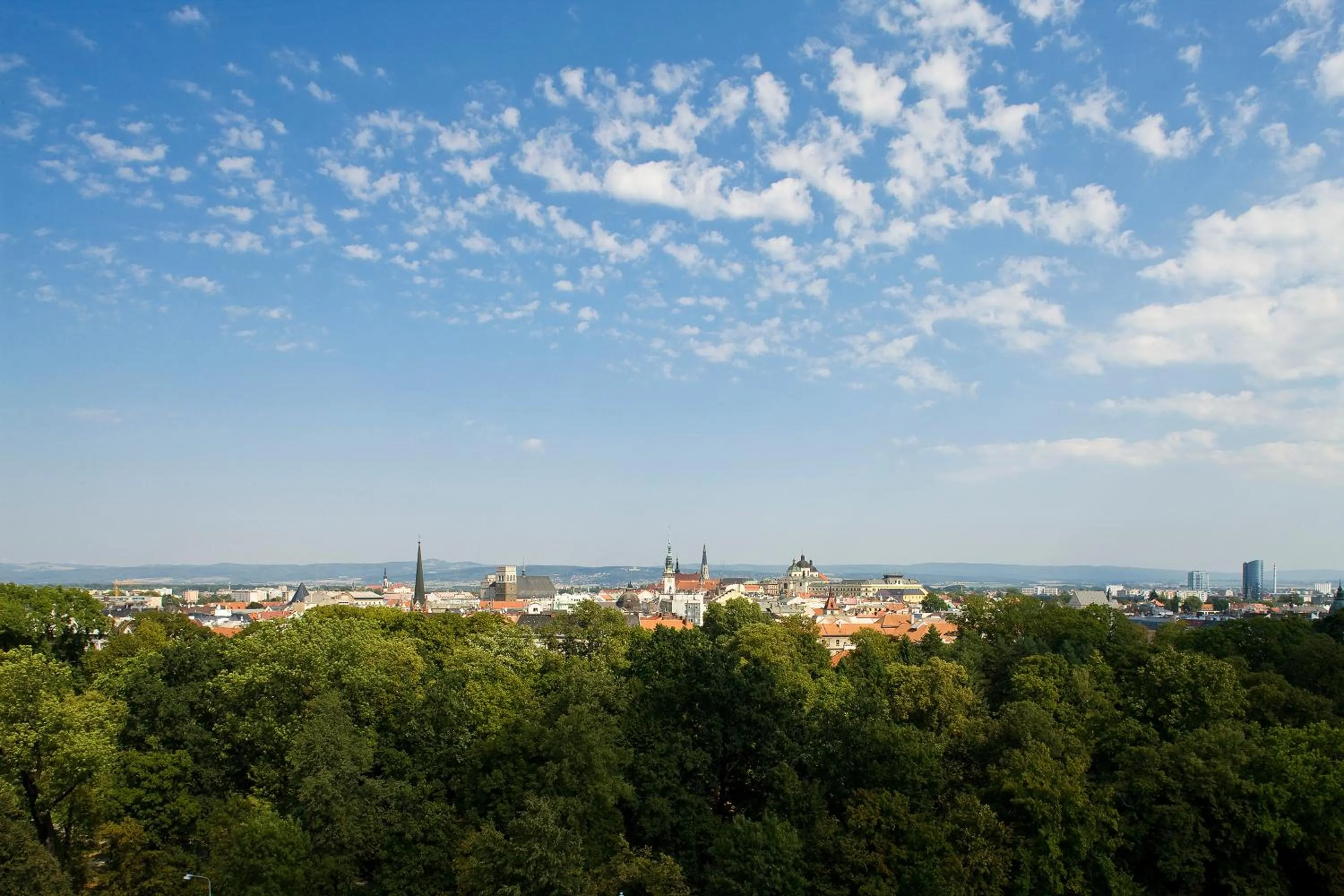 City view in CENTRAL PARK FLORA