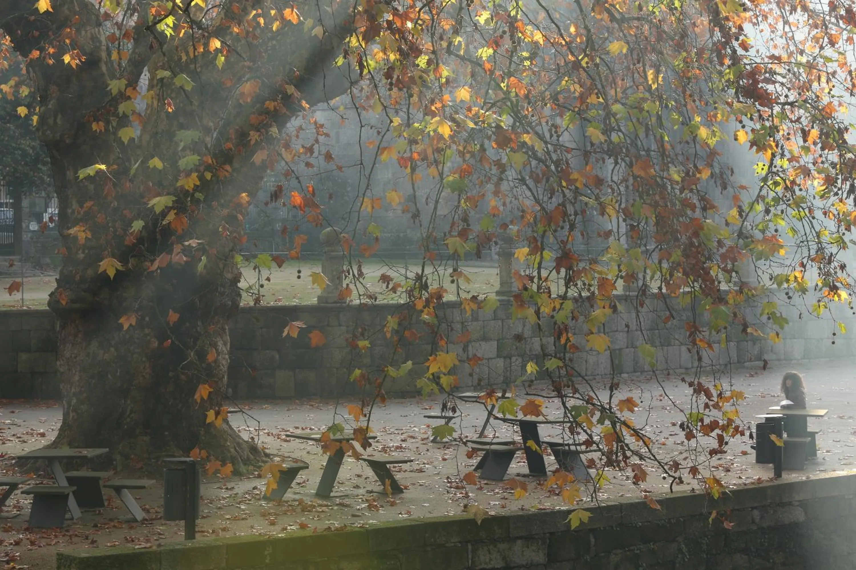 Area and facilities in Solar Egas Moniz-Charming House & Local Experiences