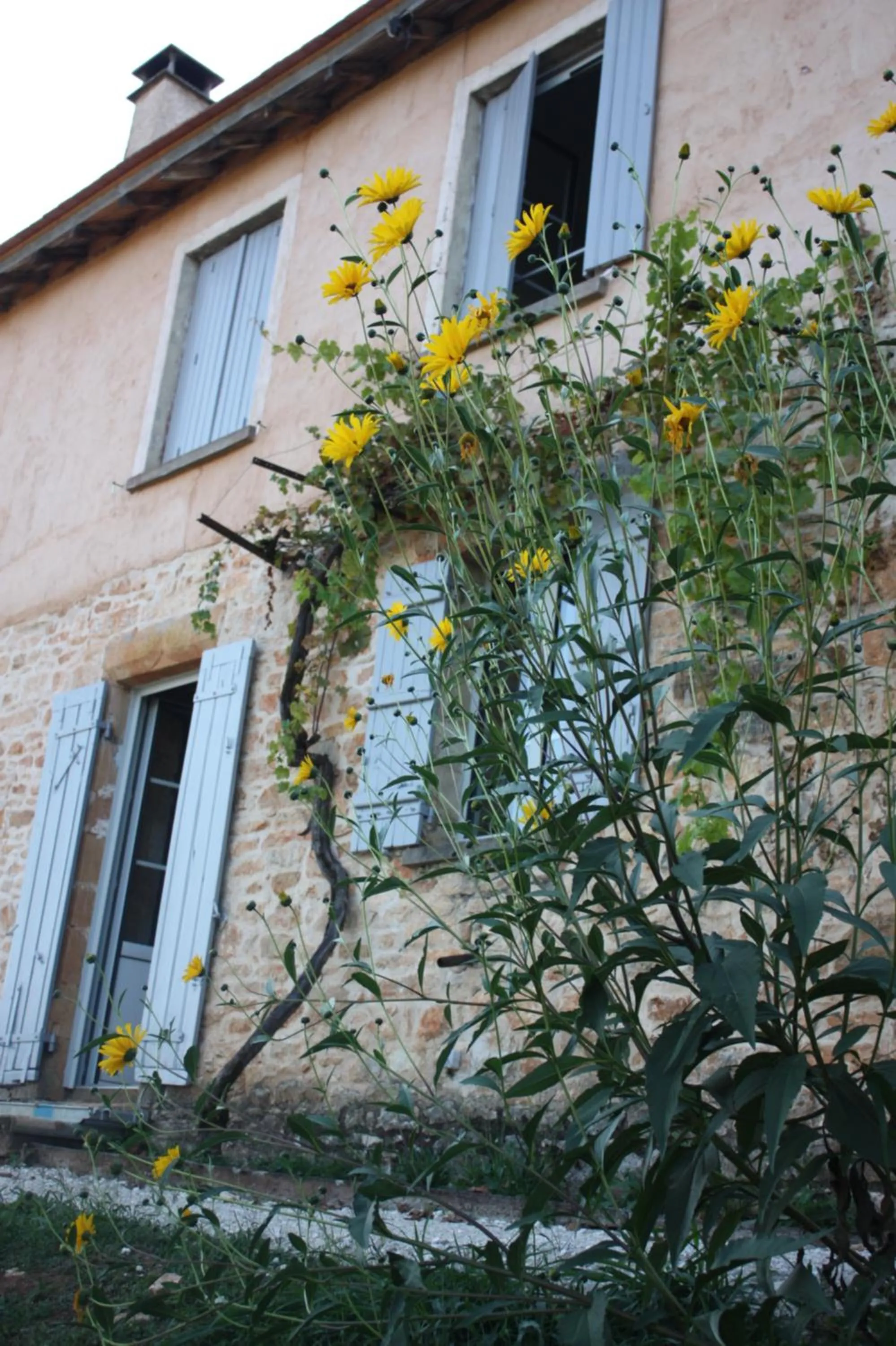 Property building in Le canard enchanté