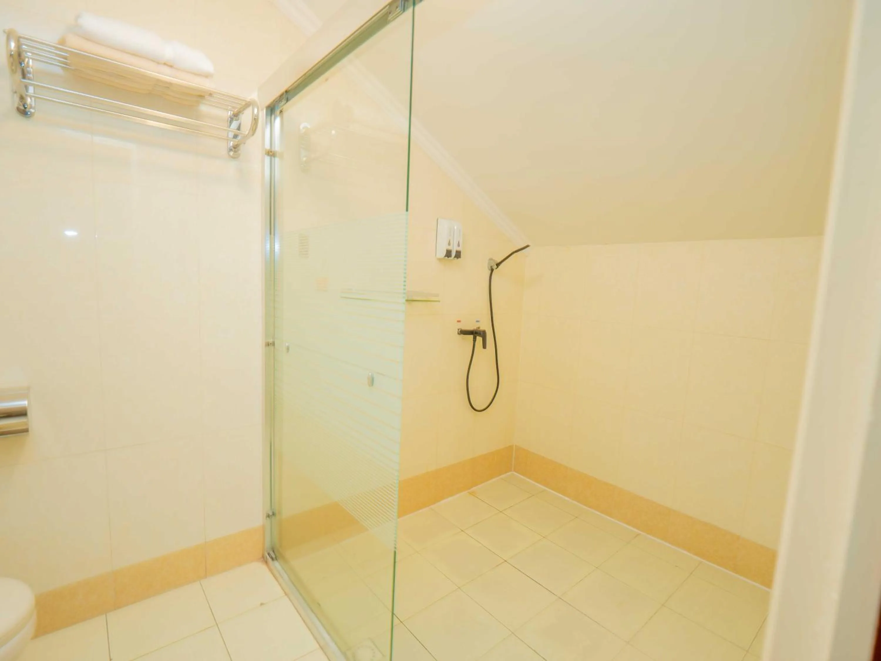 Shower in Hotel Palacio