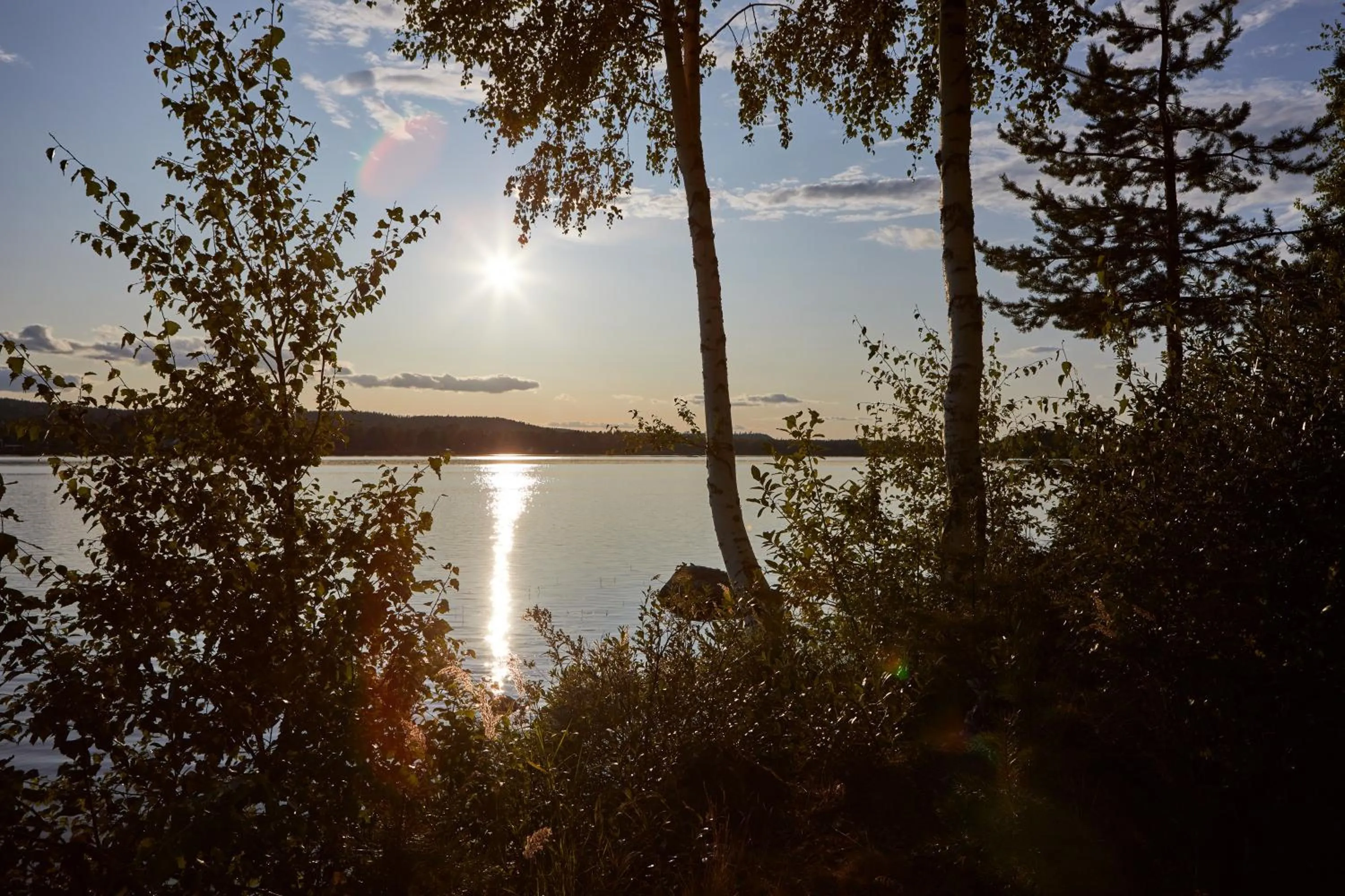 View (from property/room) in First Camp Ansia - Lycksele