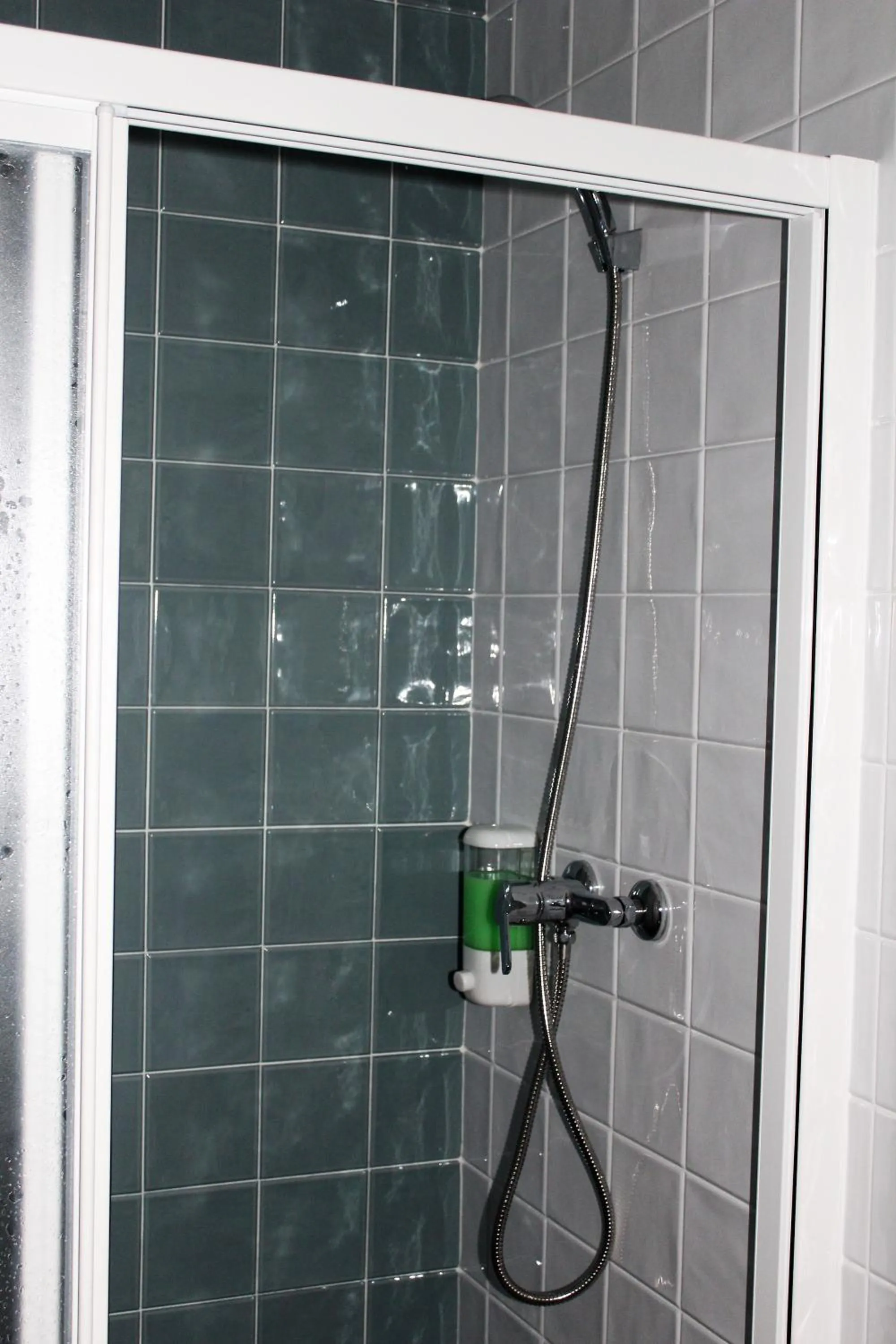 Shower in Casa Rural El Nidal
