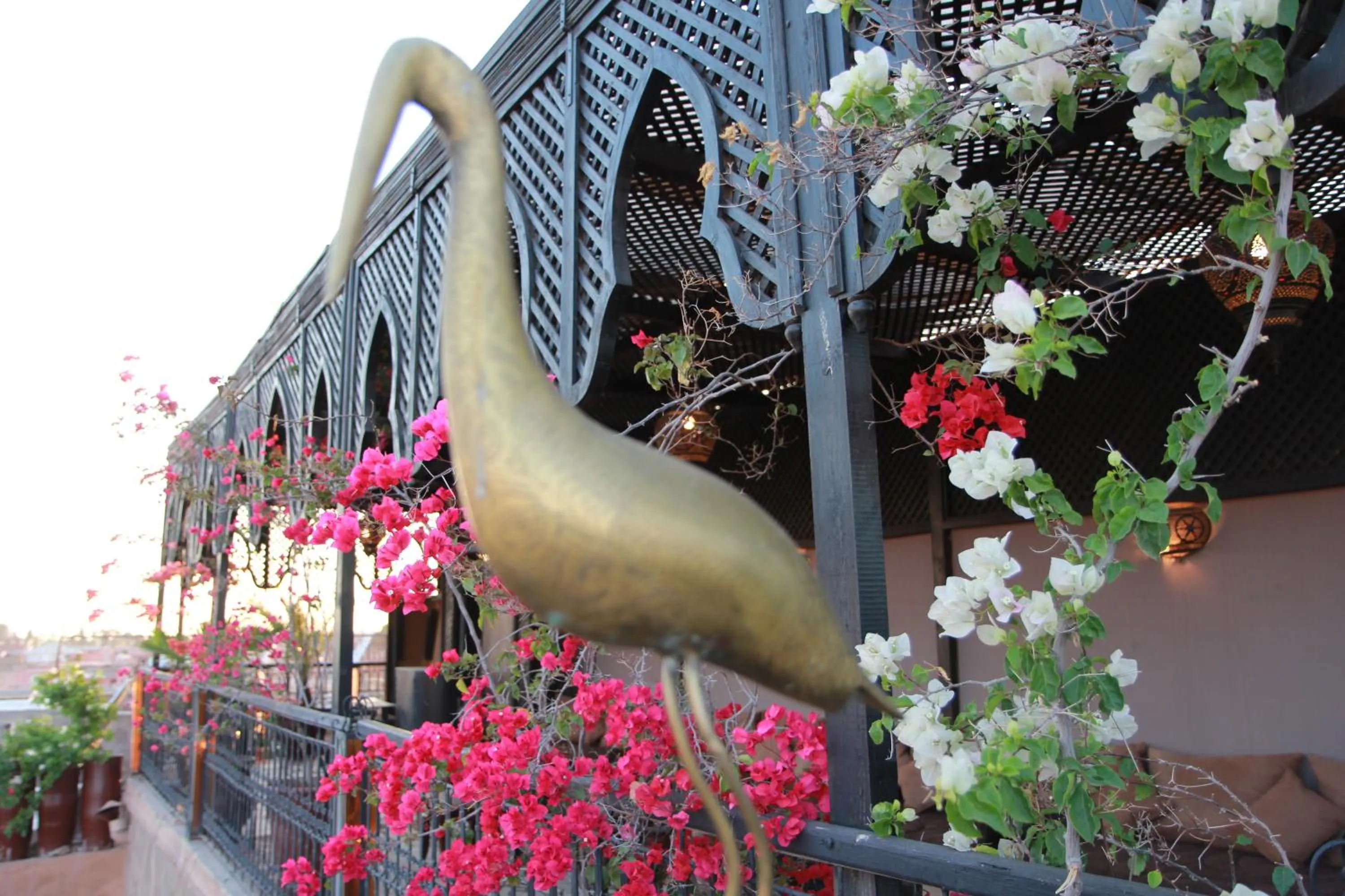Decorative detail in Riad Terra Bahia