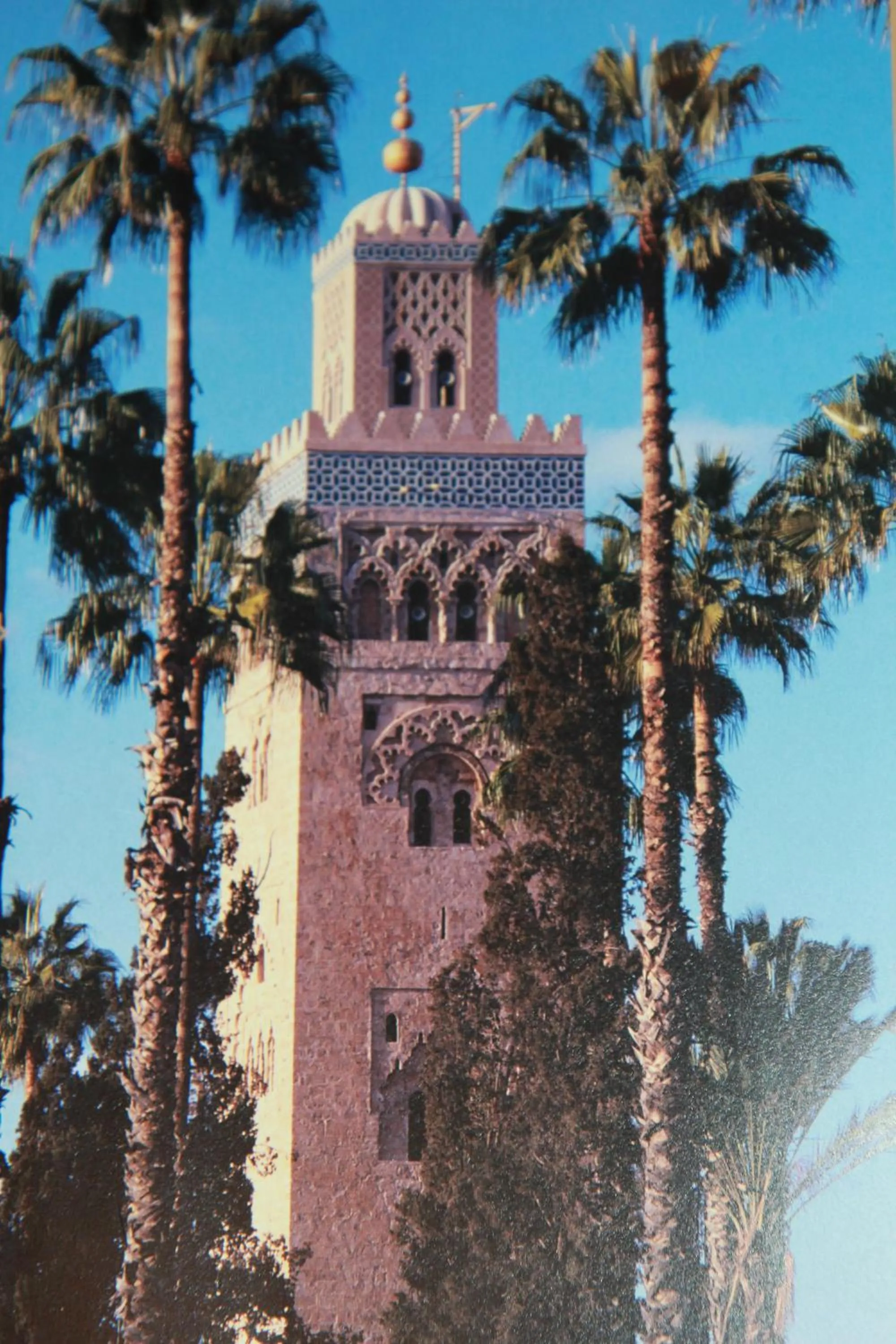 Area and facilities in Riad Terra Bahia