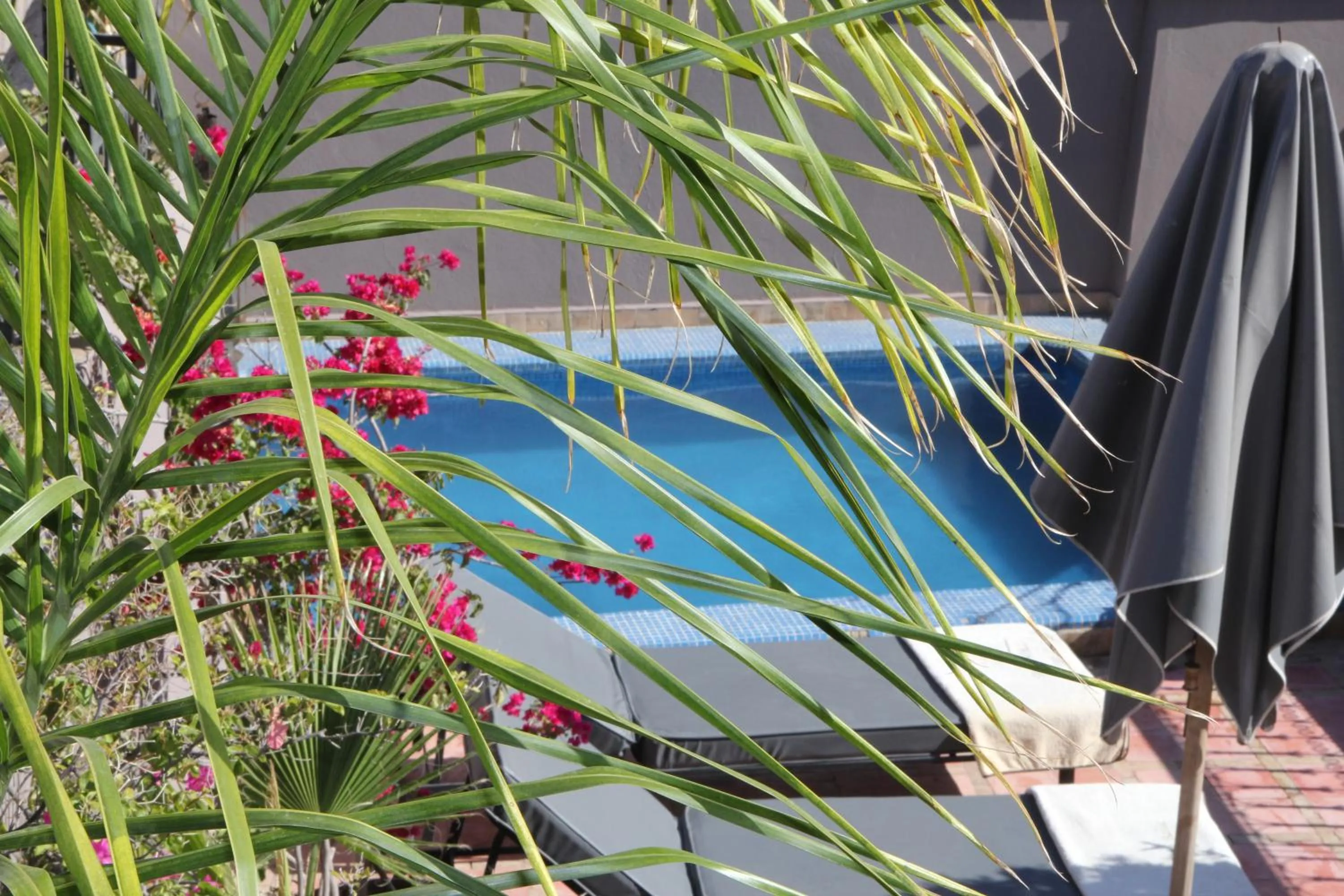 Swimming pool in Riad Terra Bahia