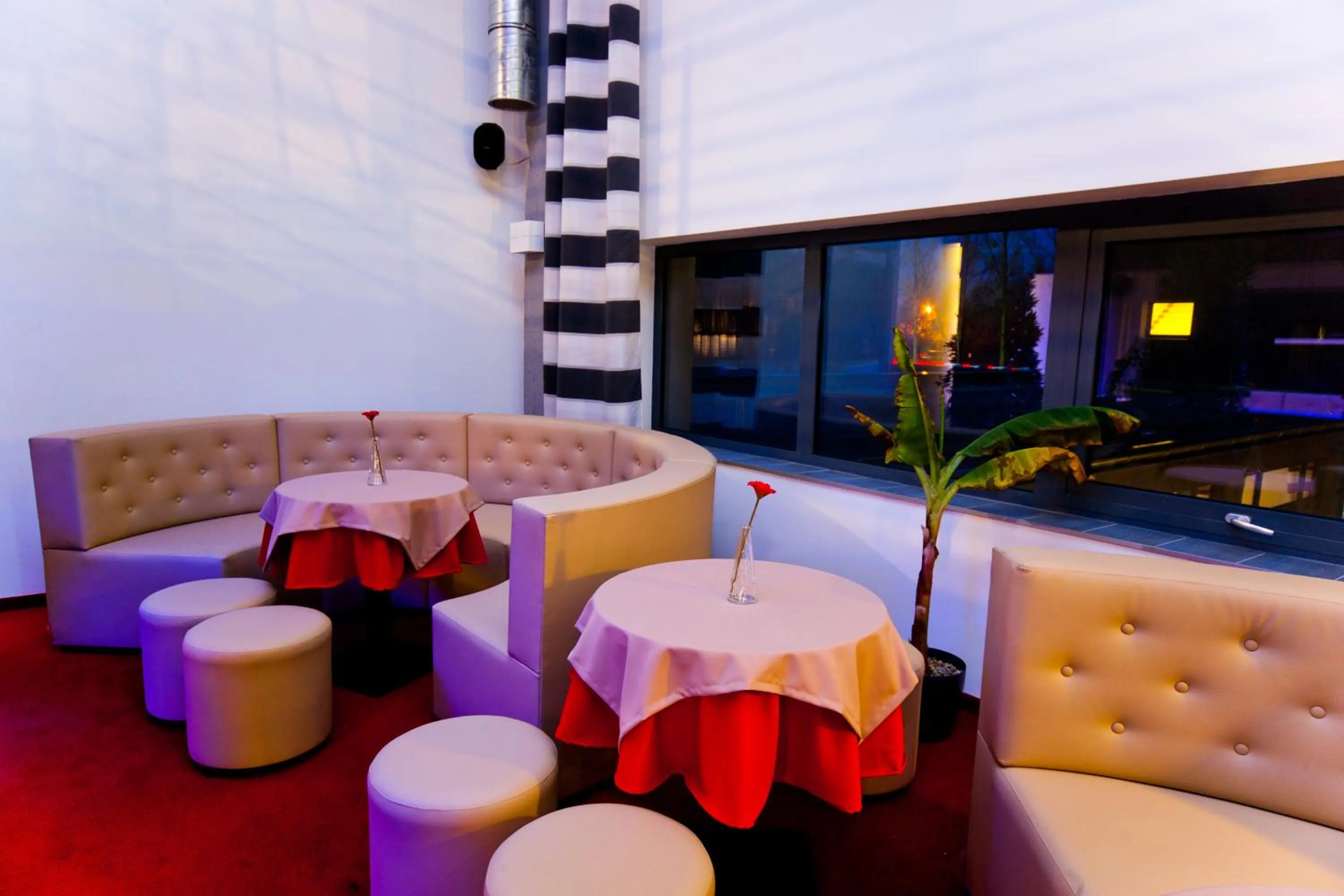 Restaurant/places to eat in Hotel Malinowski Business