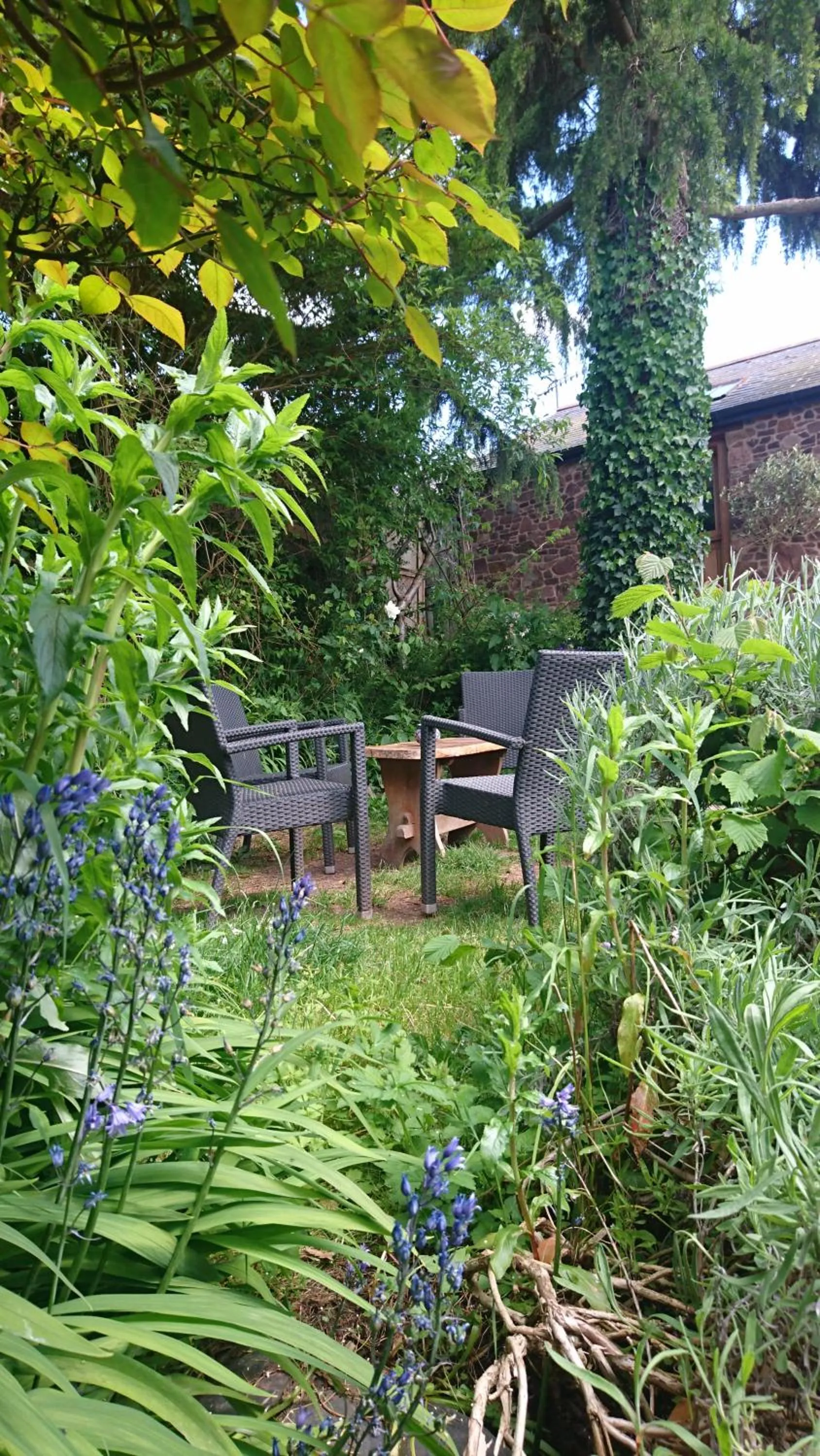Garden in The Lamb Inn