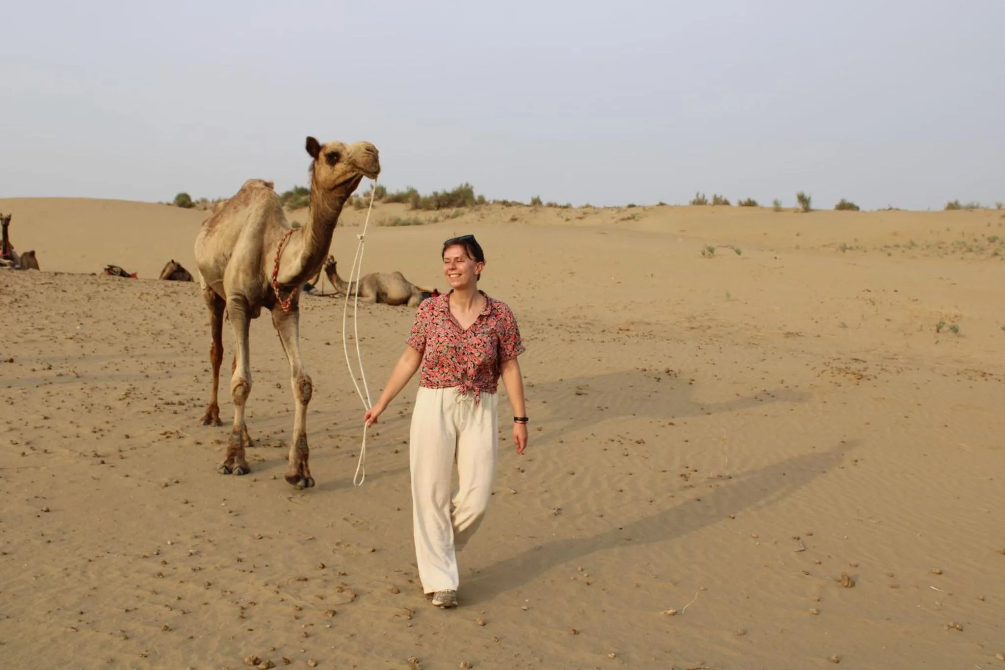 Natural landscape in Hotel Renuka