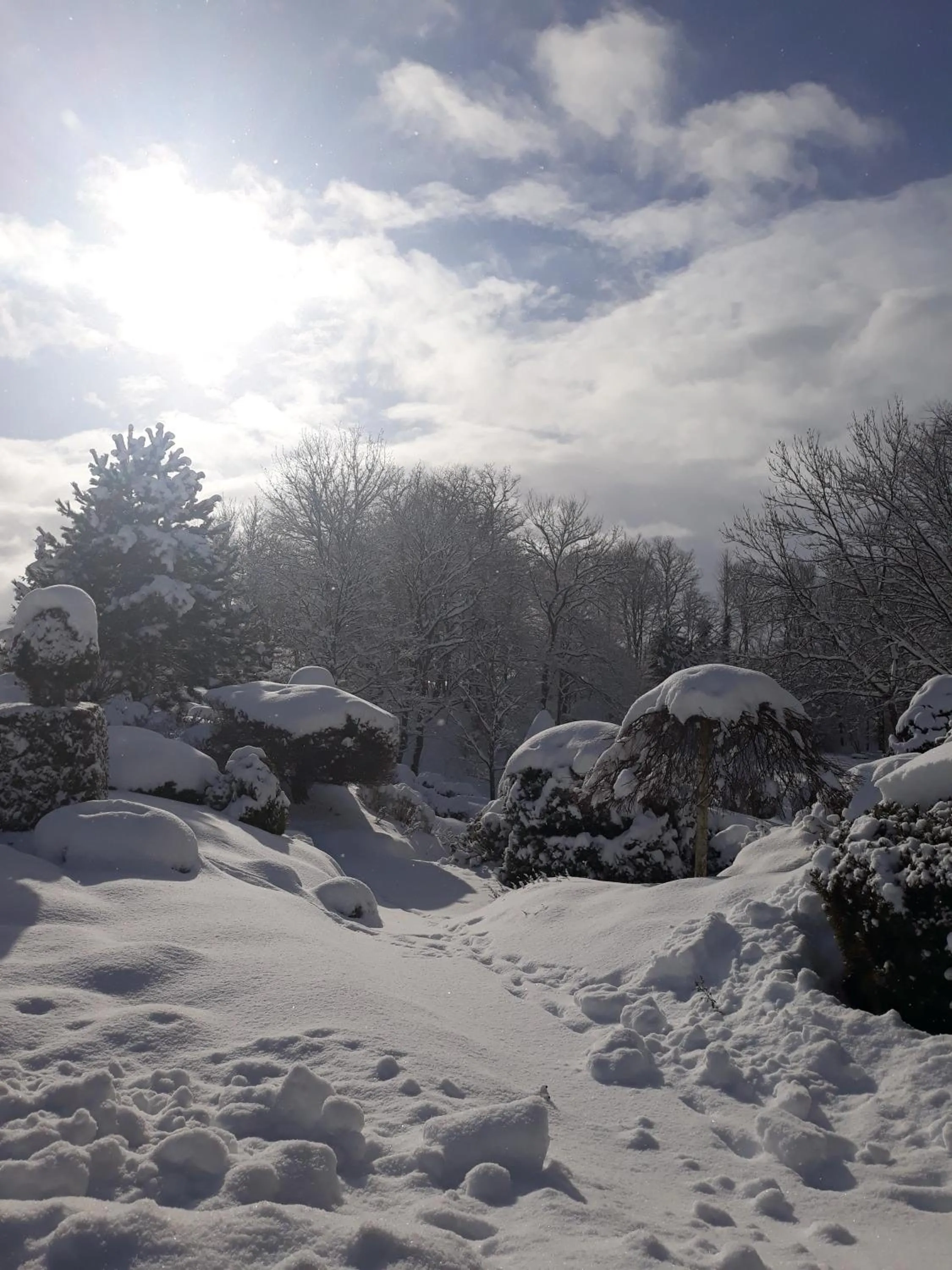 Winter in Hotel Dworek nad Regą