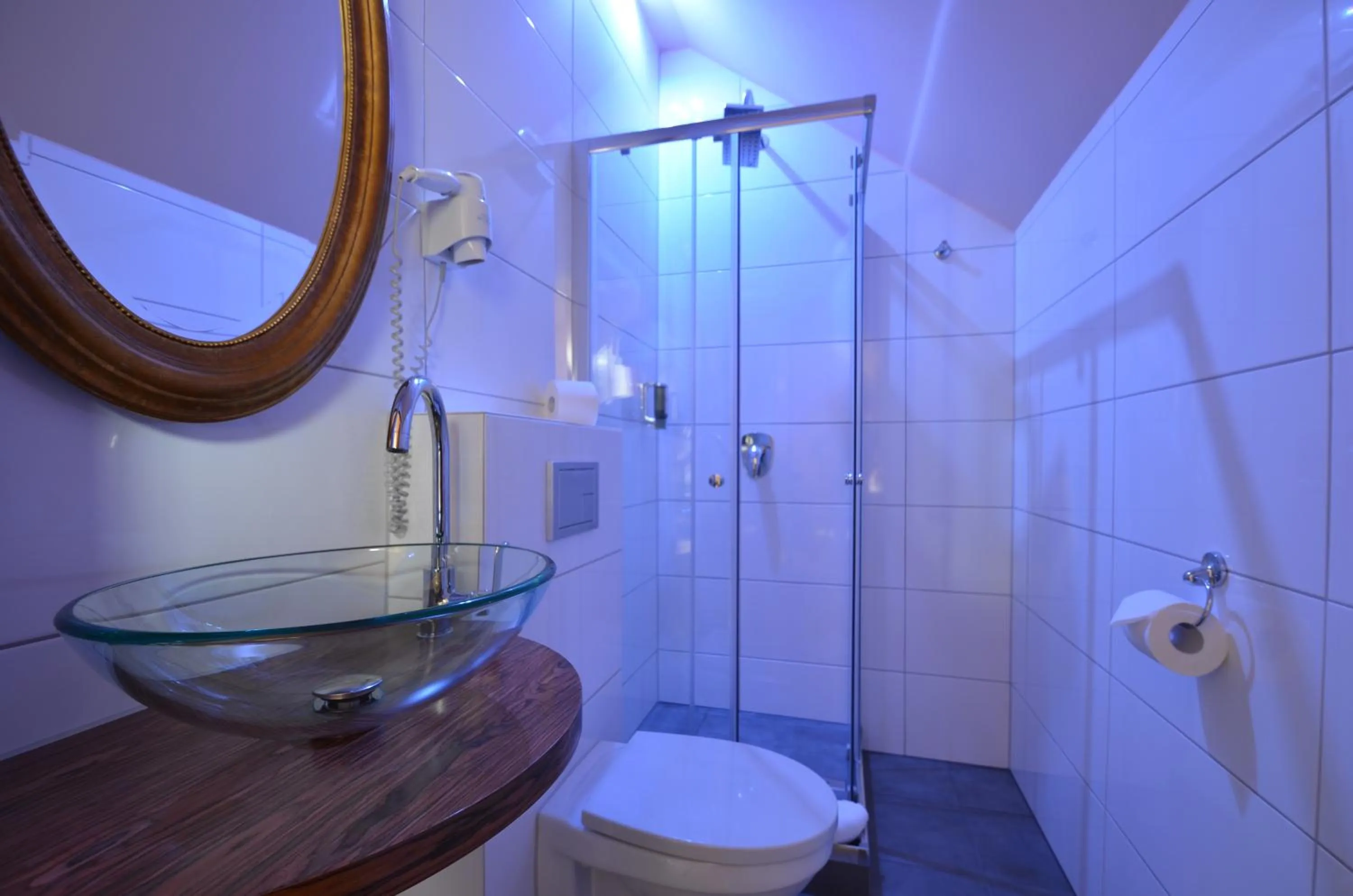 Shower in Hotel Dworek nad Regą