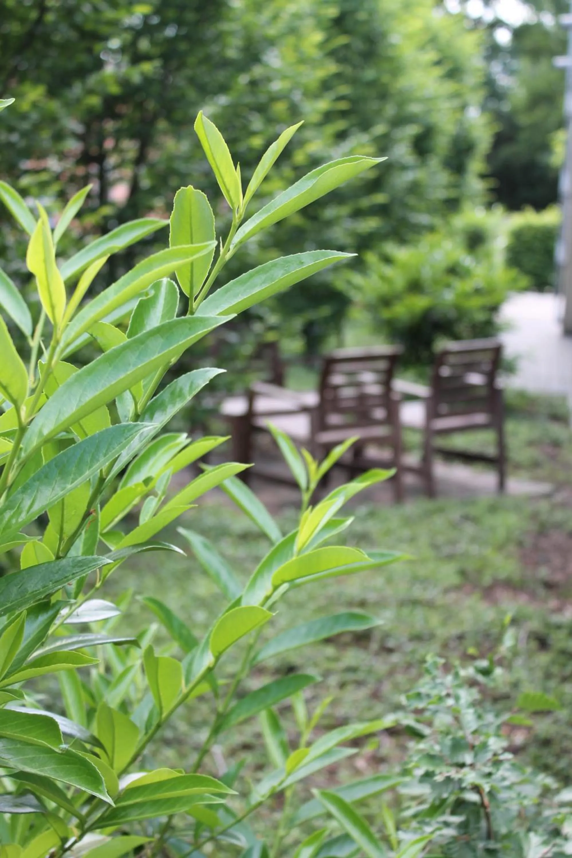 Balcony/Terrace in Pur Hotel