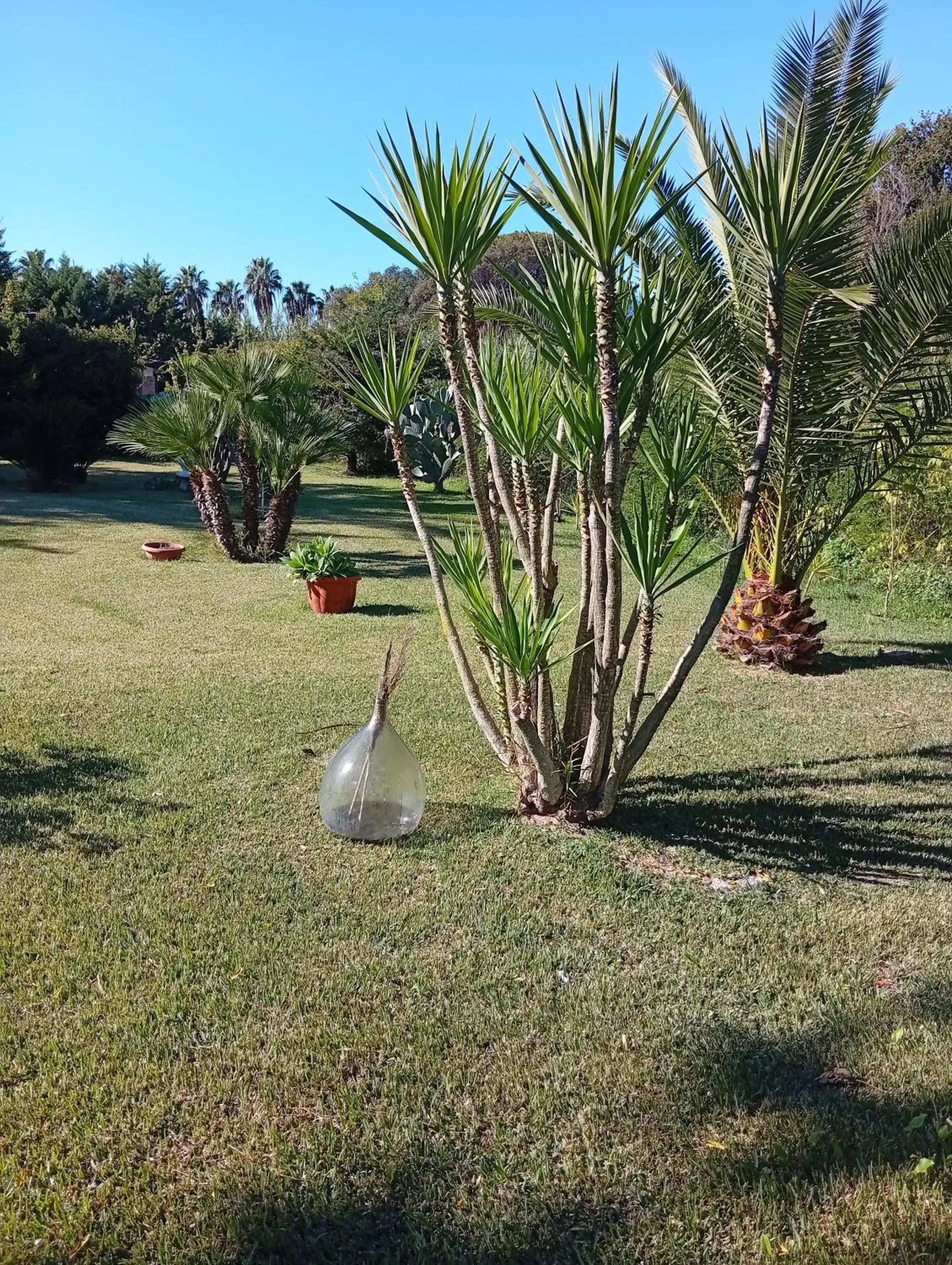 Apartment - single occupancy in Mamena Apartment - single occupancy in Mamena