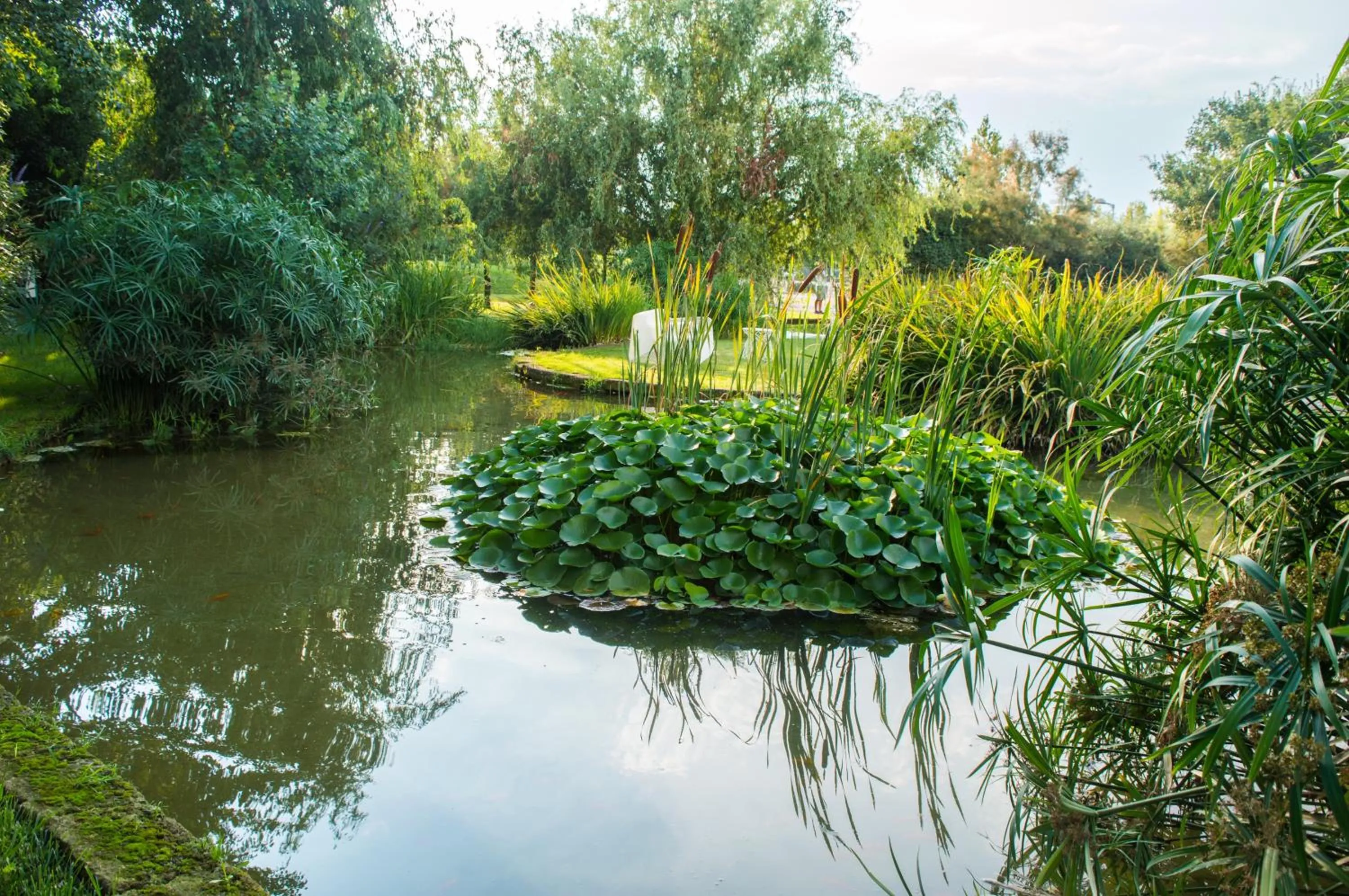 Garden in Astrea Wellness & Spa