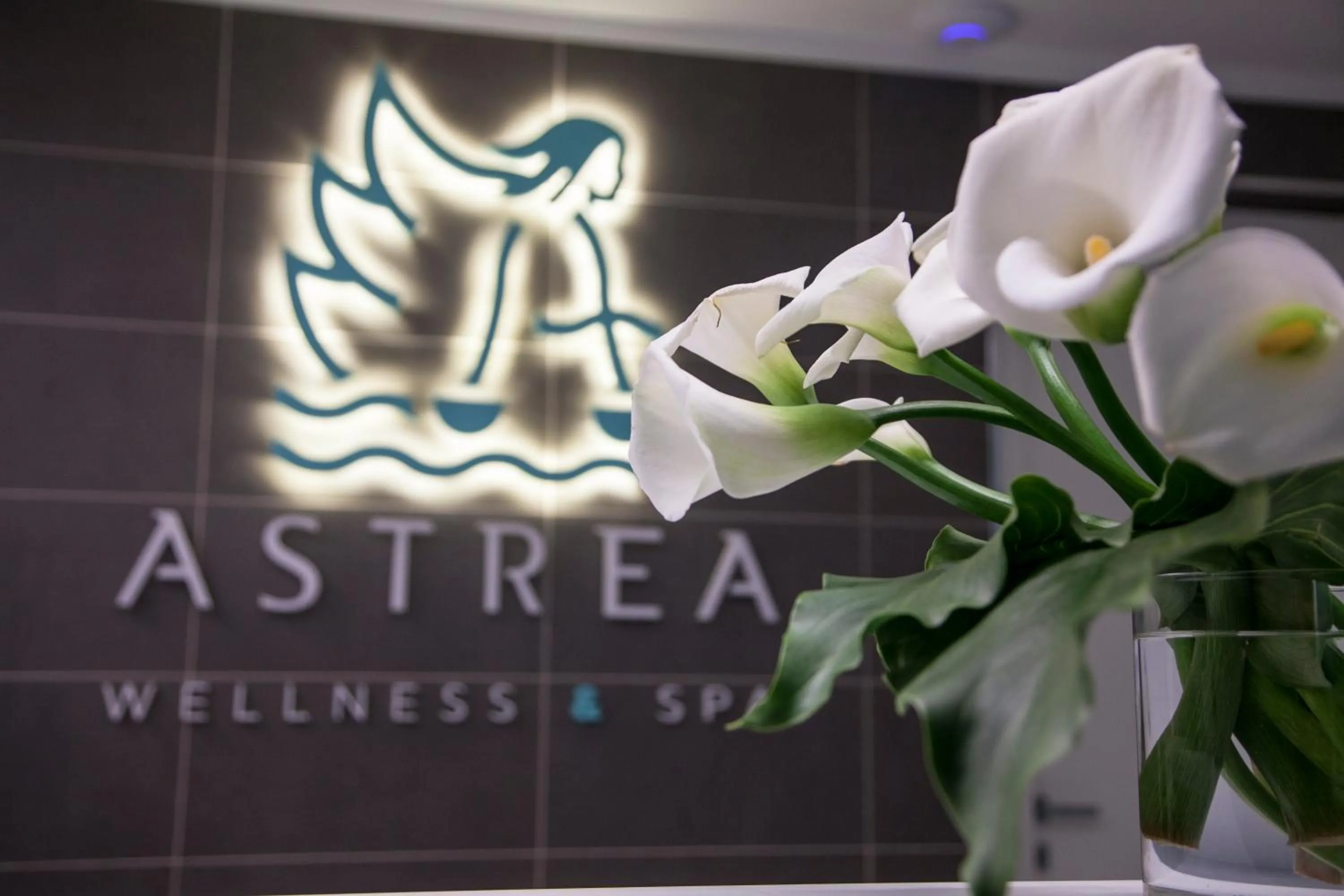 Logo/Certificate/Sign in Astrea Wellness & Spa