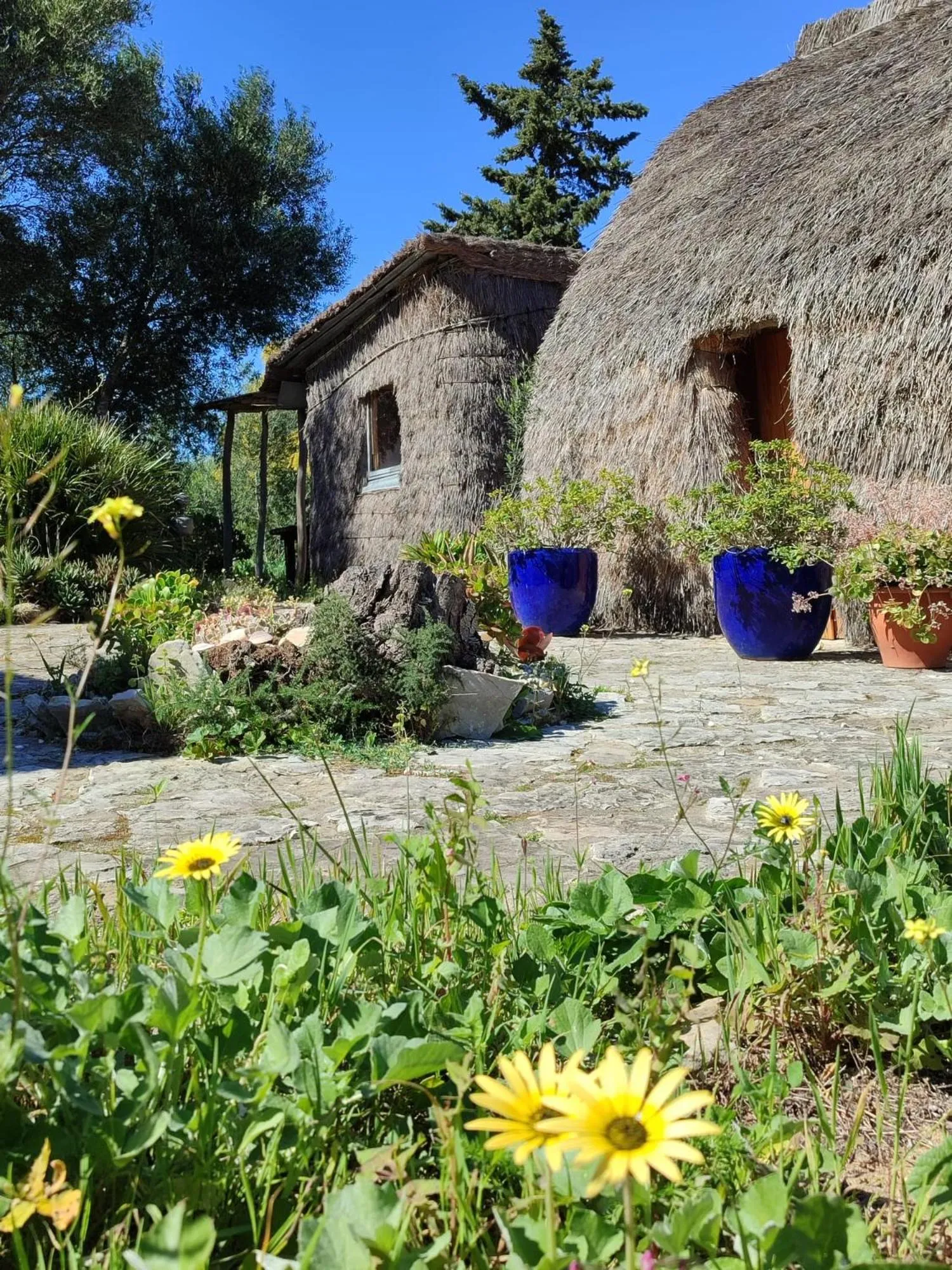 Spring in Casas Karen