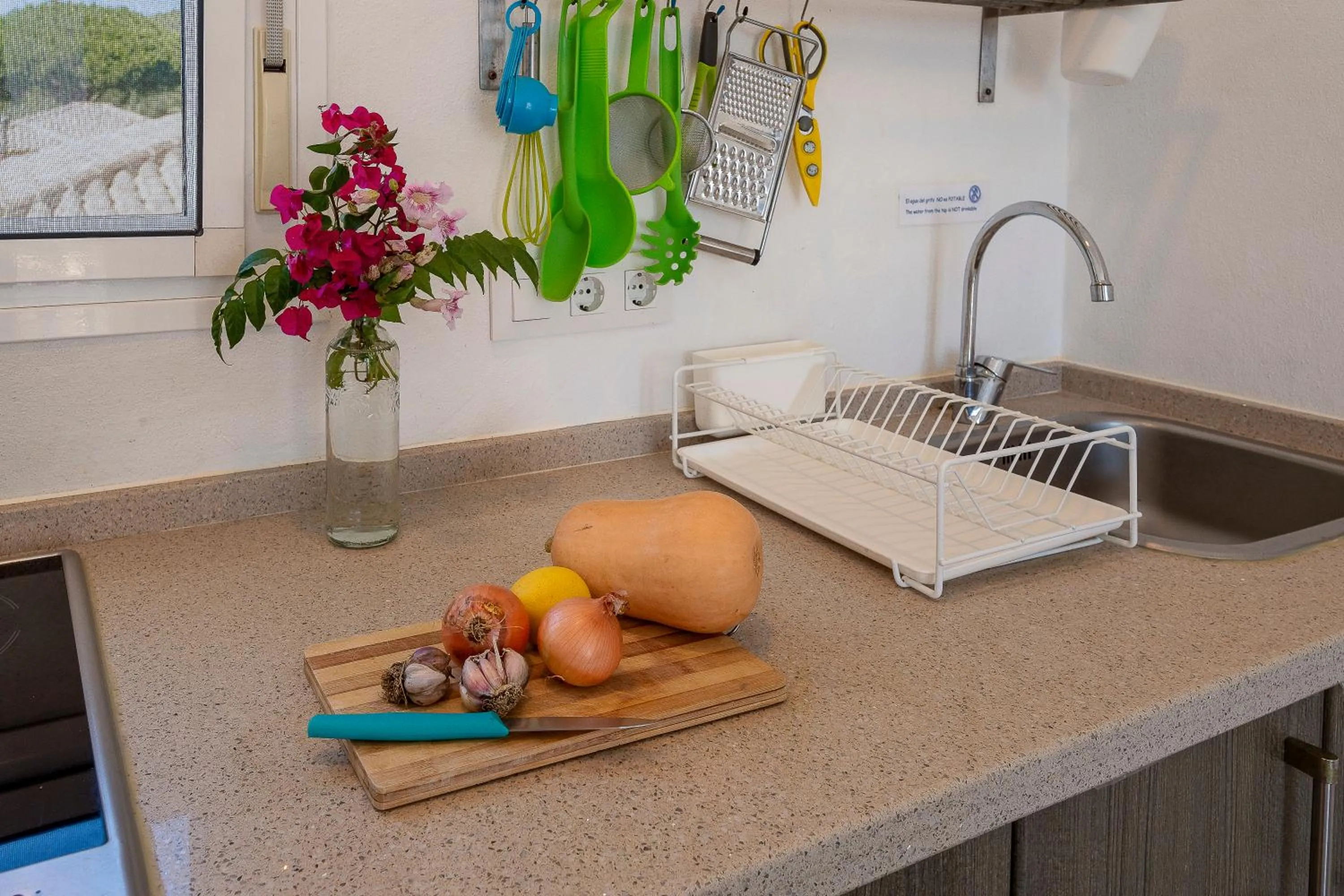 Kitchen or kitchenette in Casas Karen