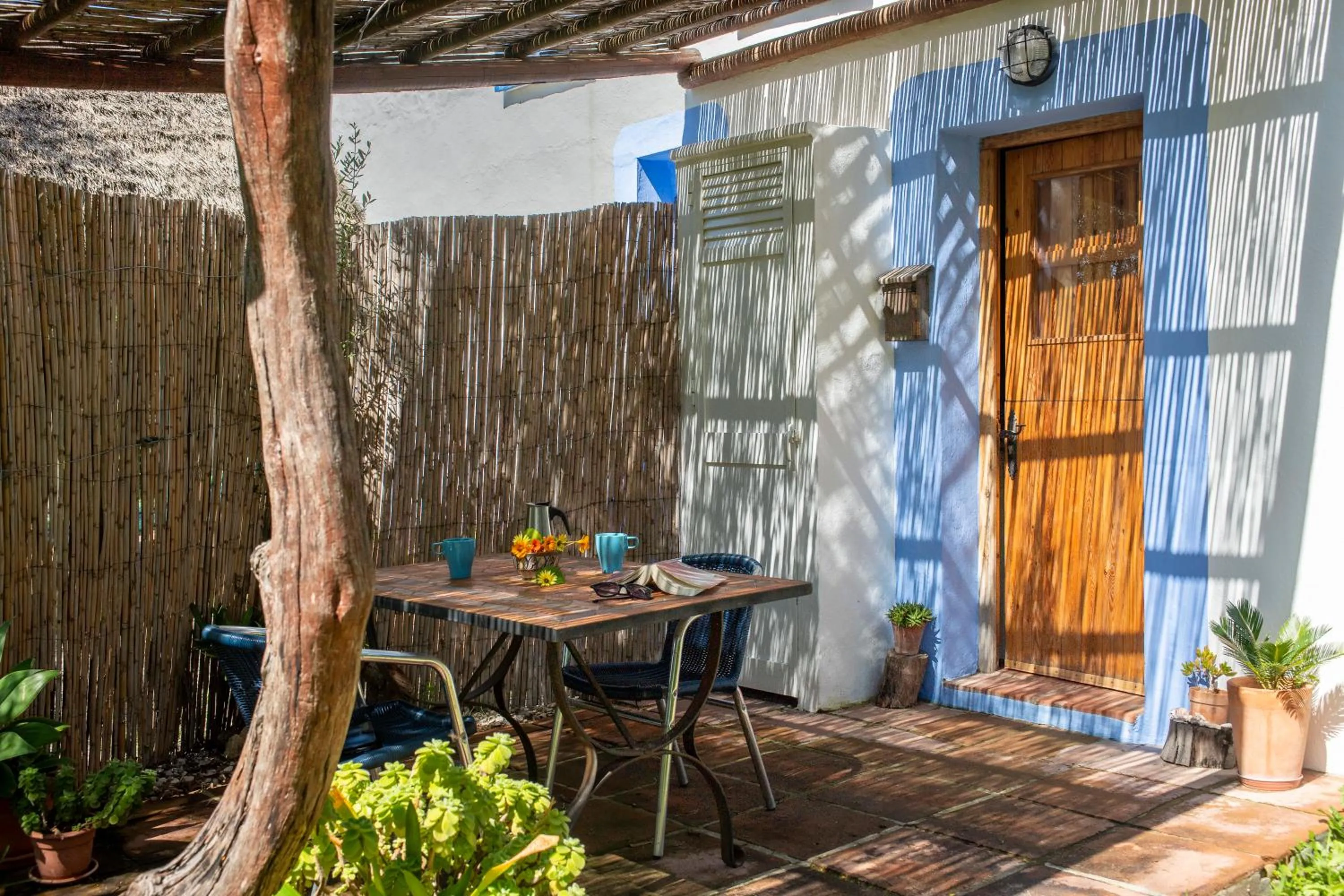 Spring in Casas Karen
