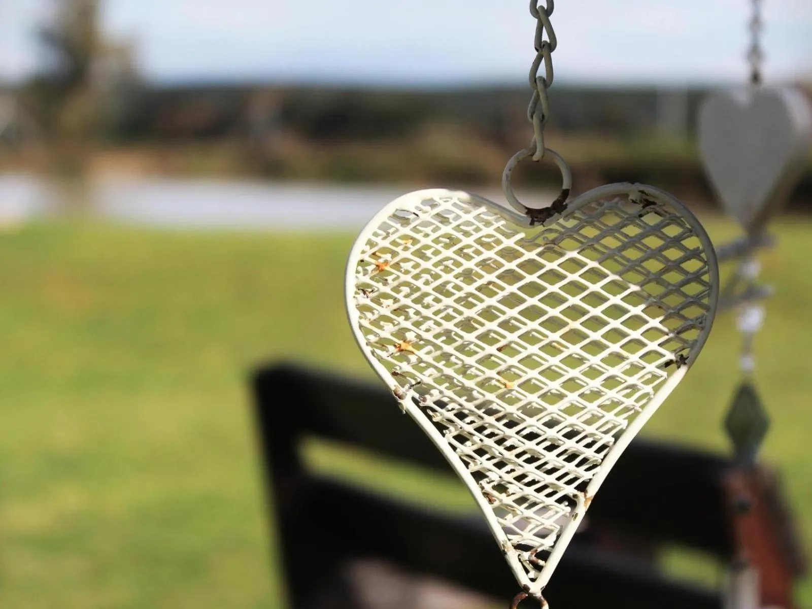 Garden in Bydand B&B