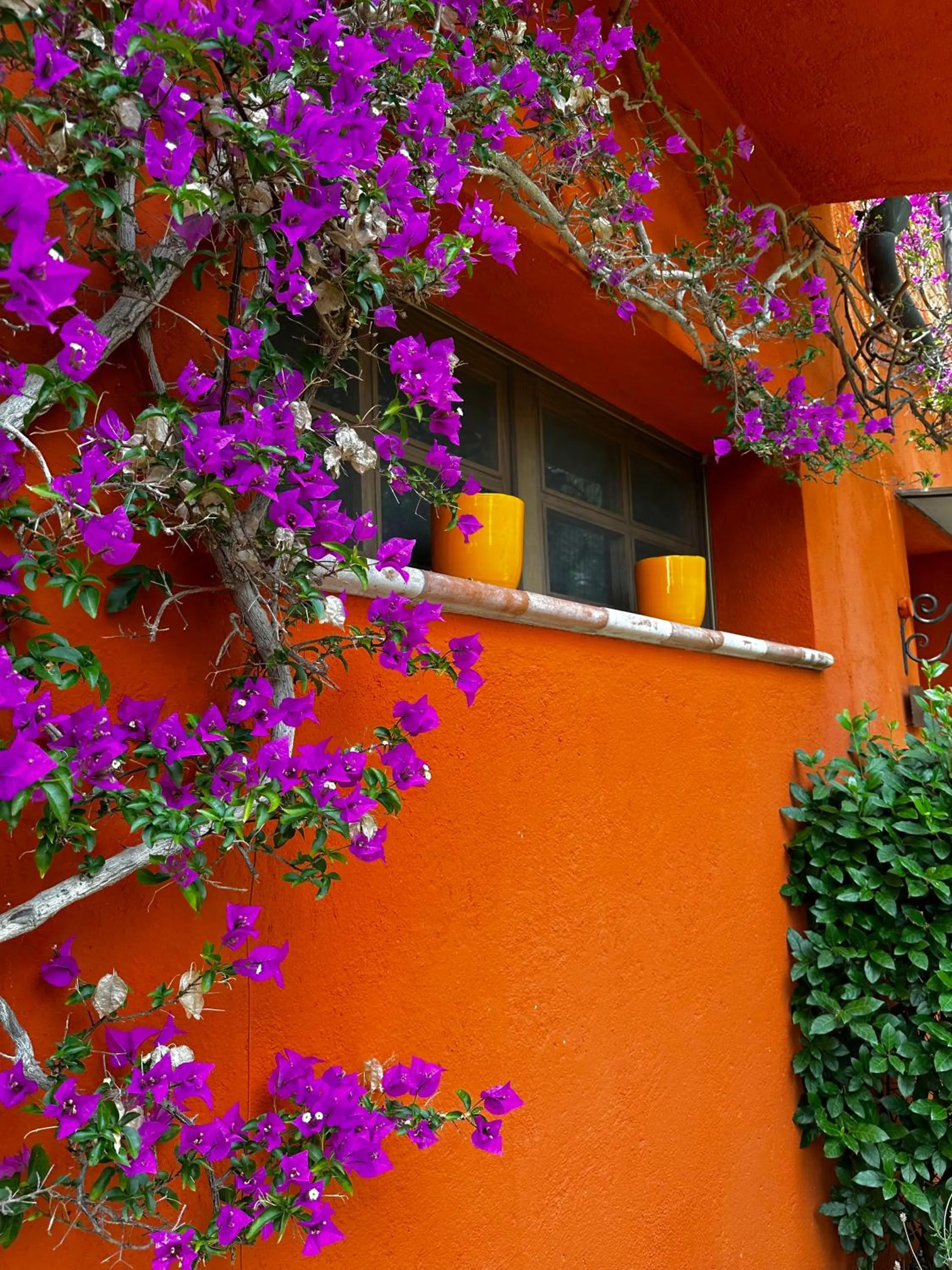 Property building in Relais San Damian