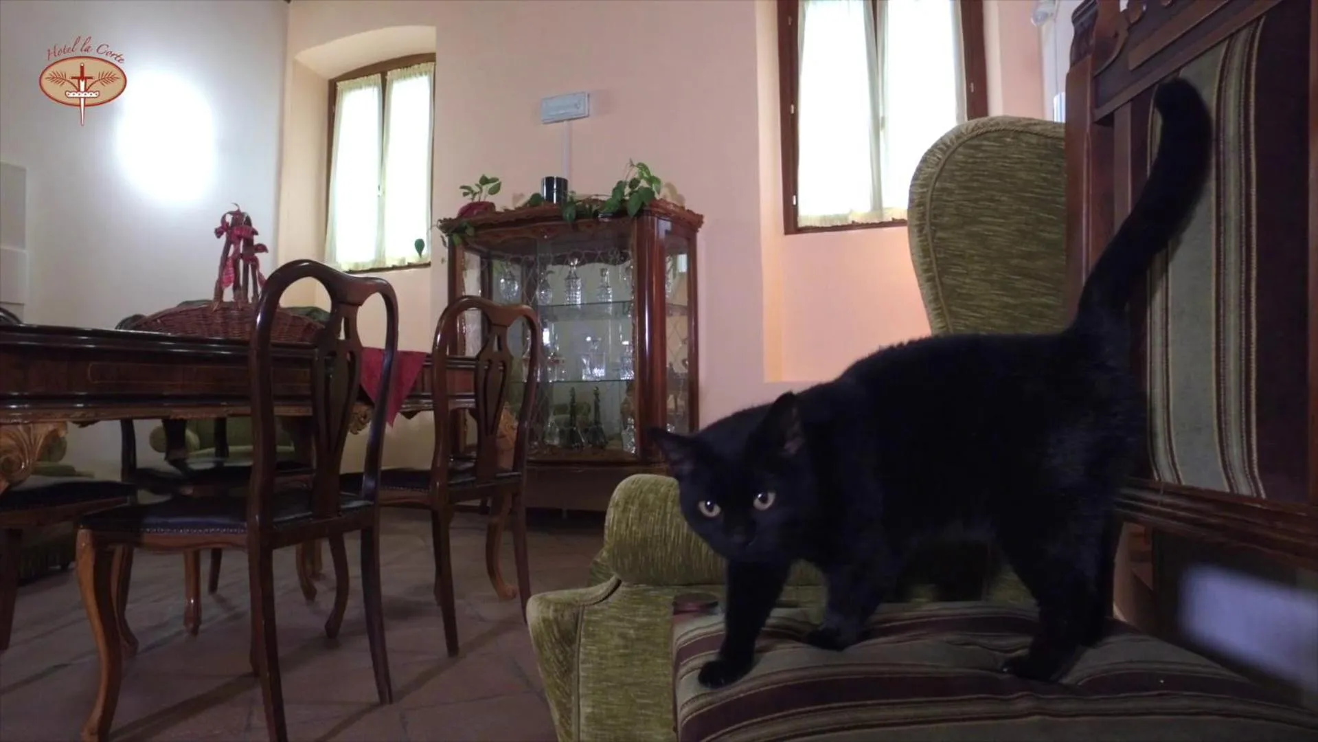 Pets in Hotel La Corte