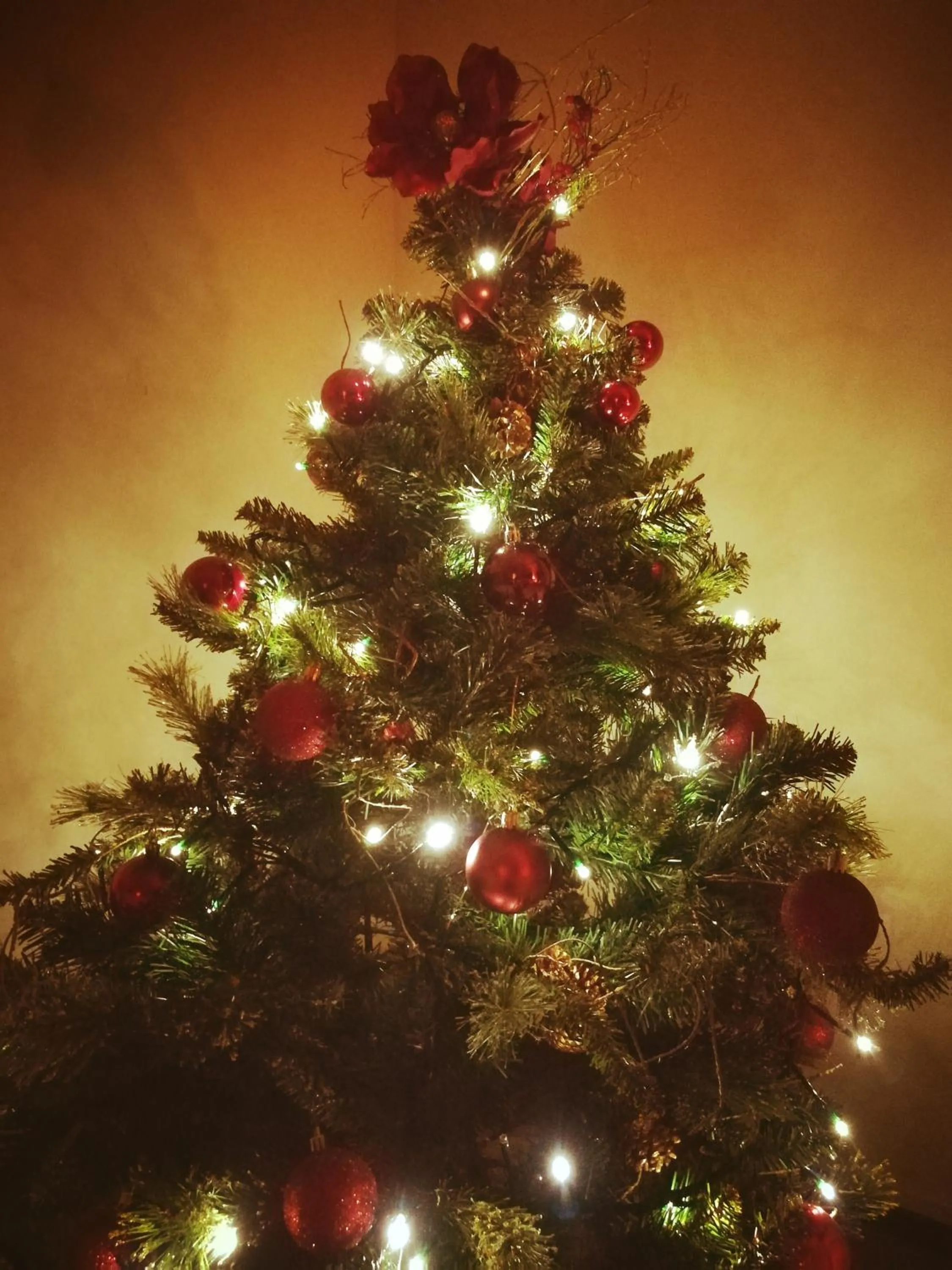 Decorative detail in Hotel La Corte