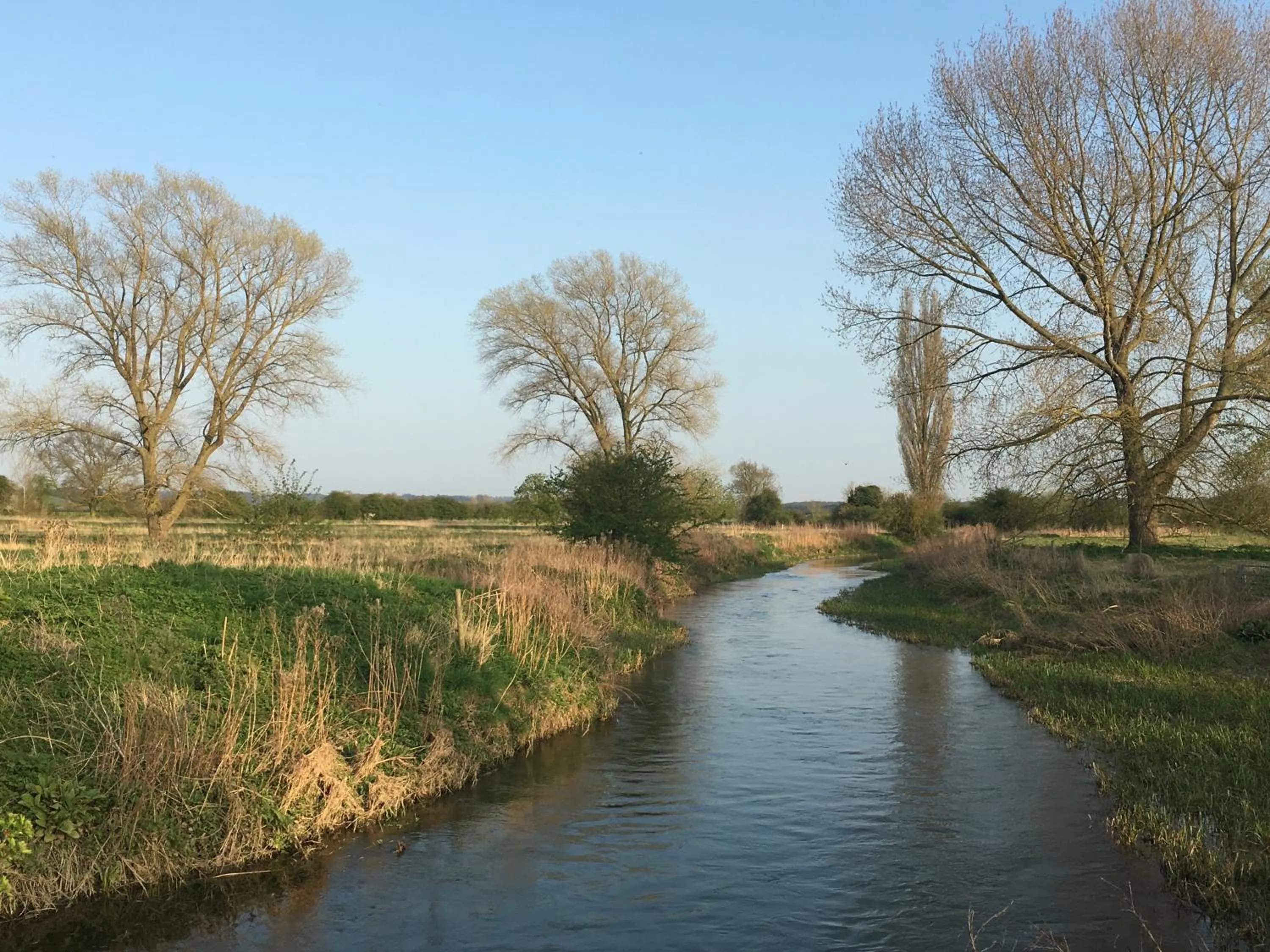 Natural landscape in Marston Hall