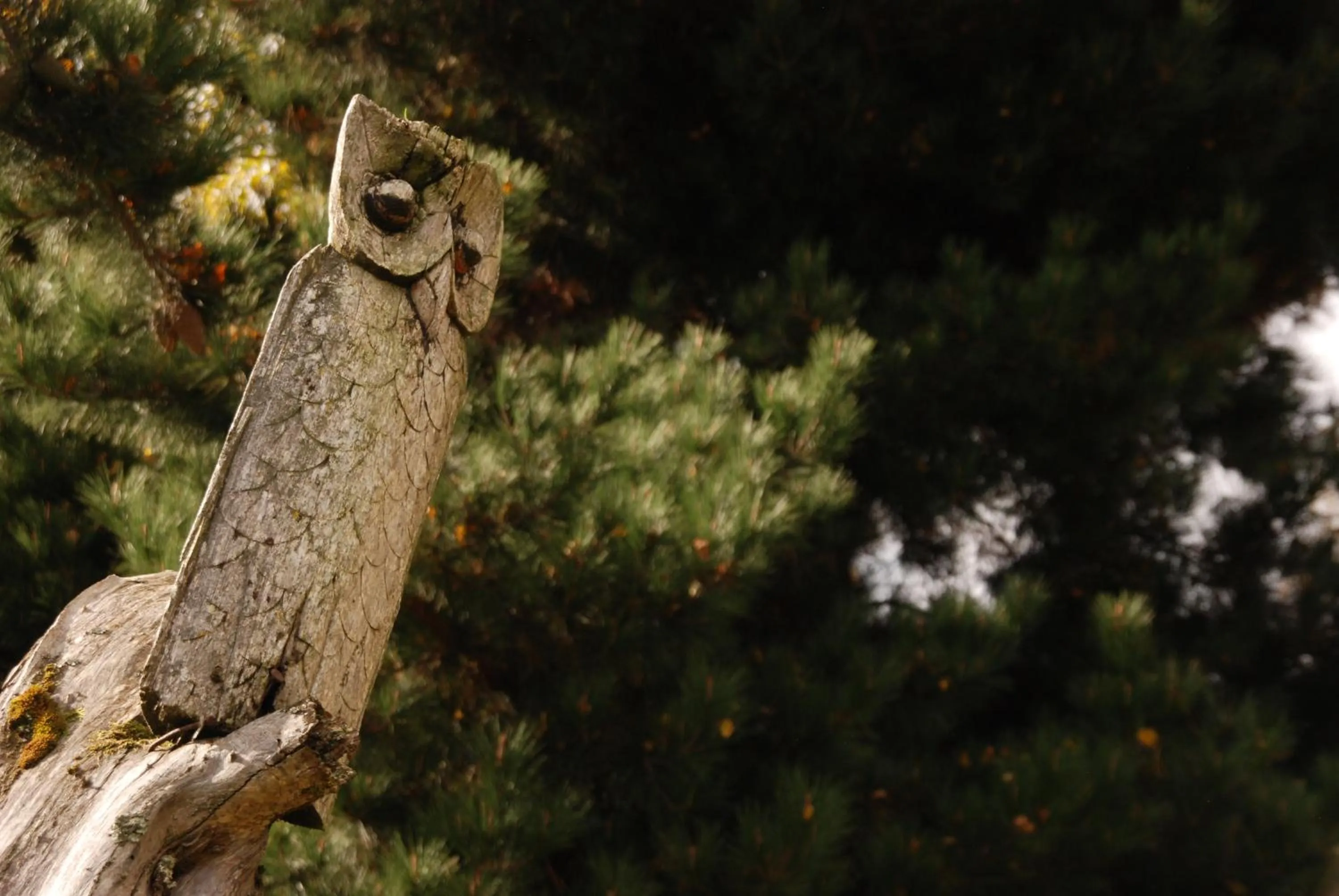 Natural landscape in OCIO Territorial Hotel