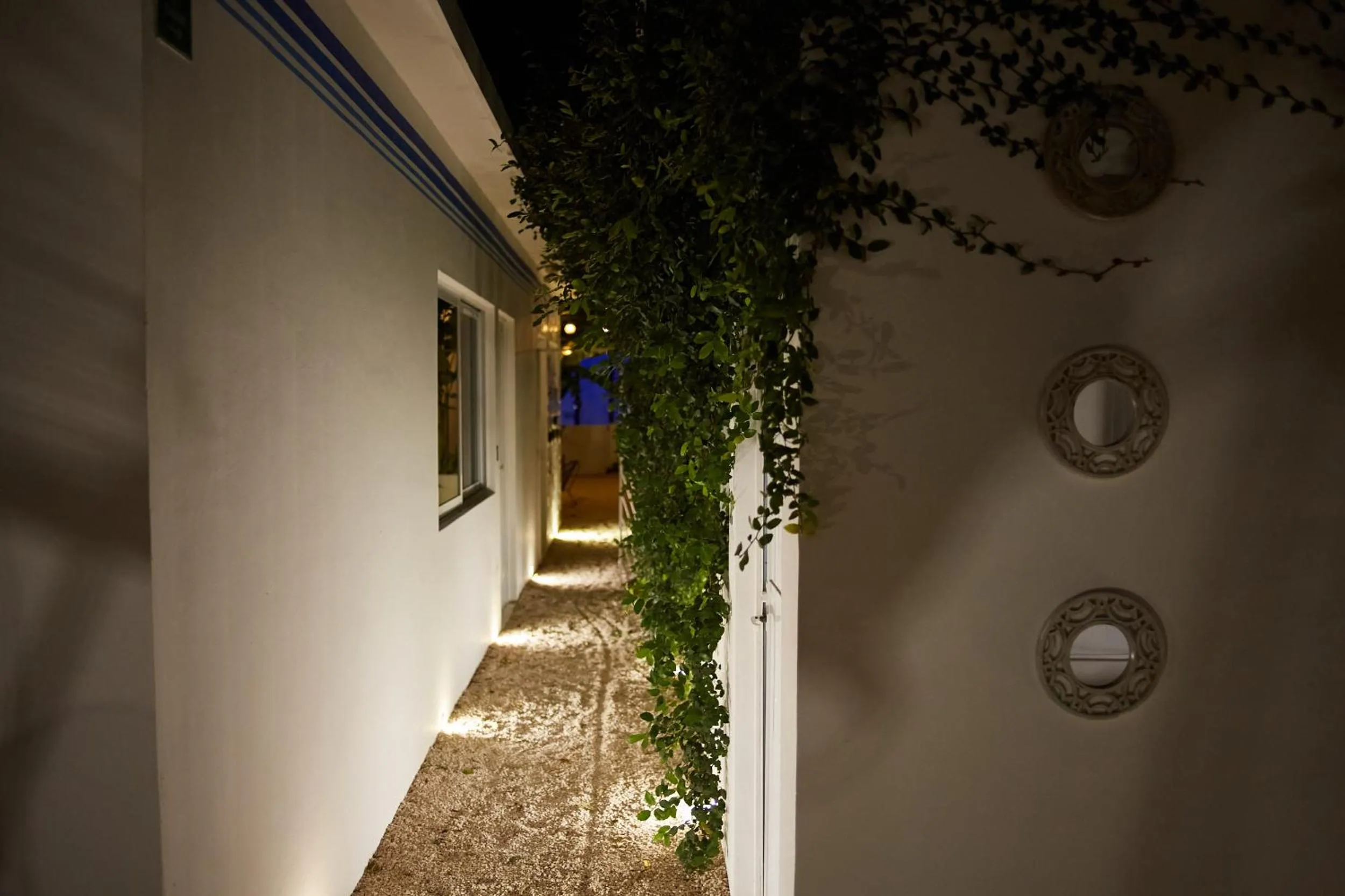 Garden view in Aljanna House