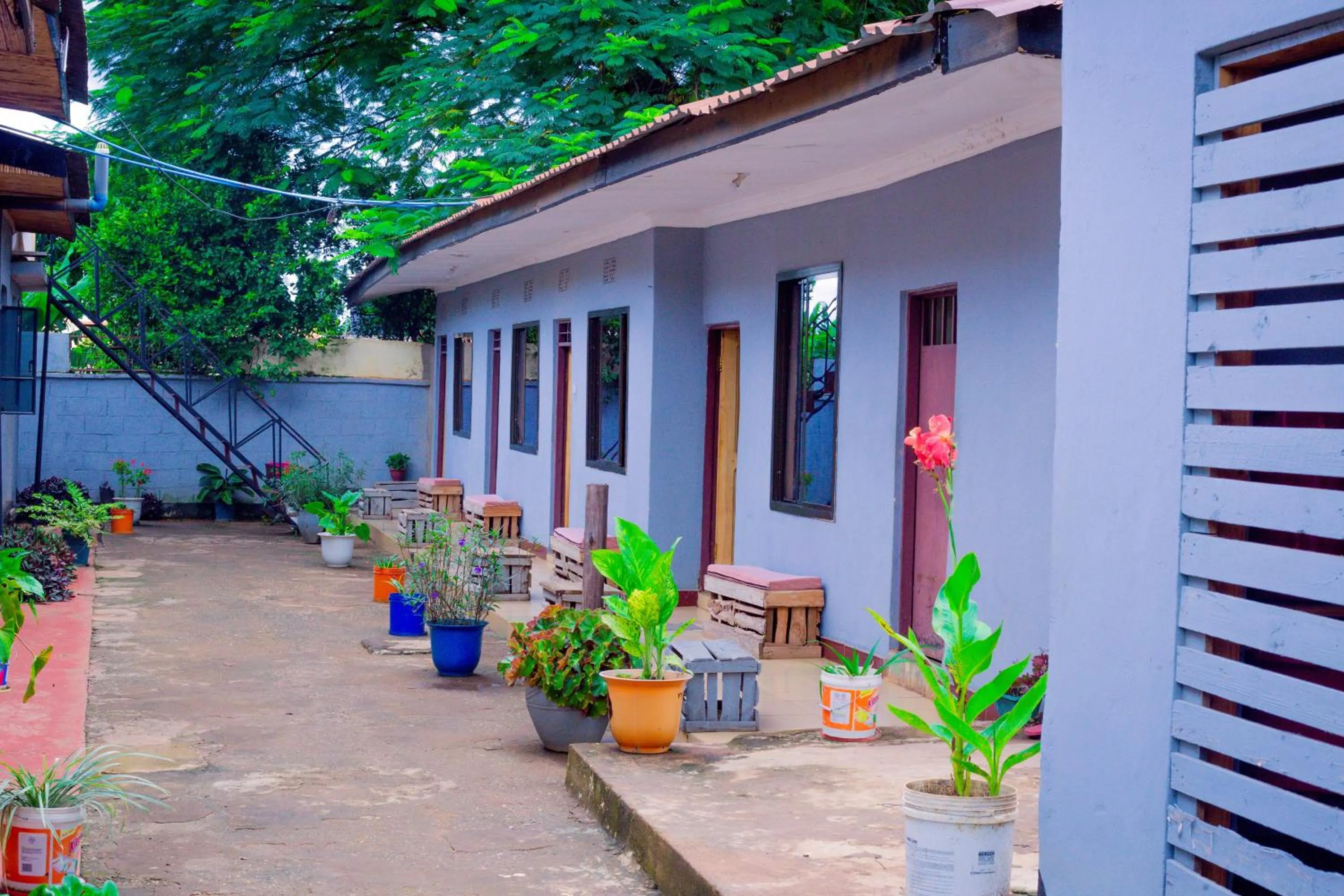 Property building in The Better Inn