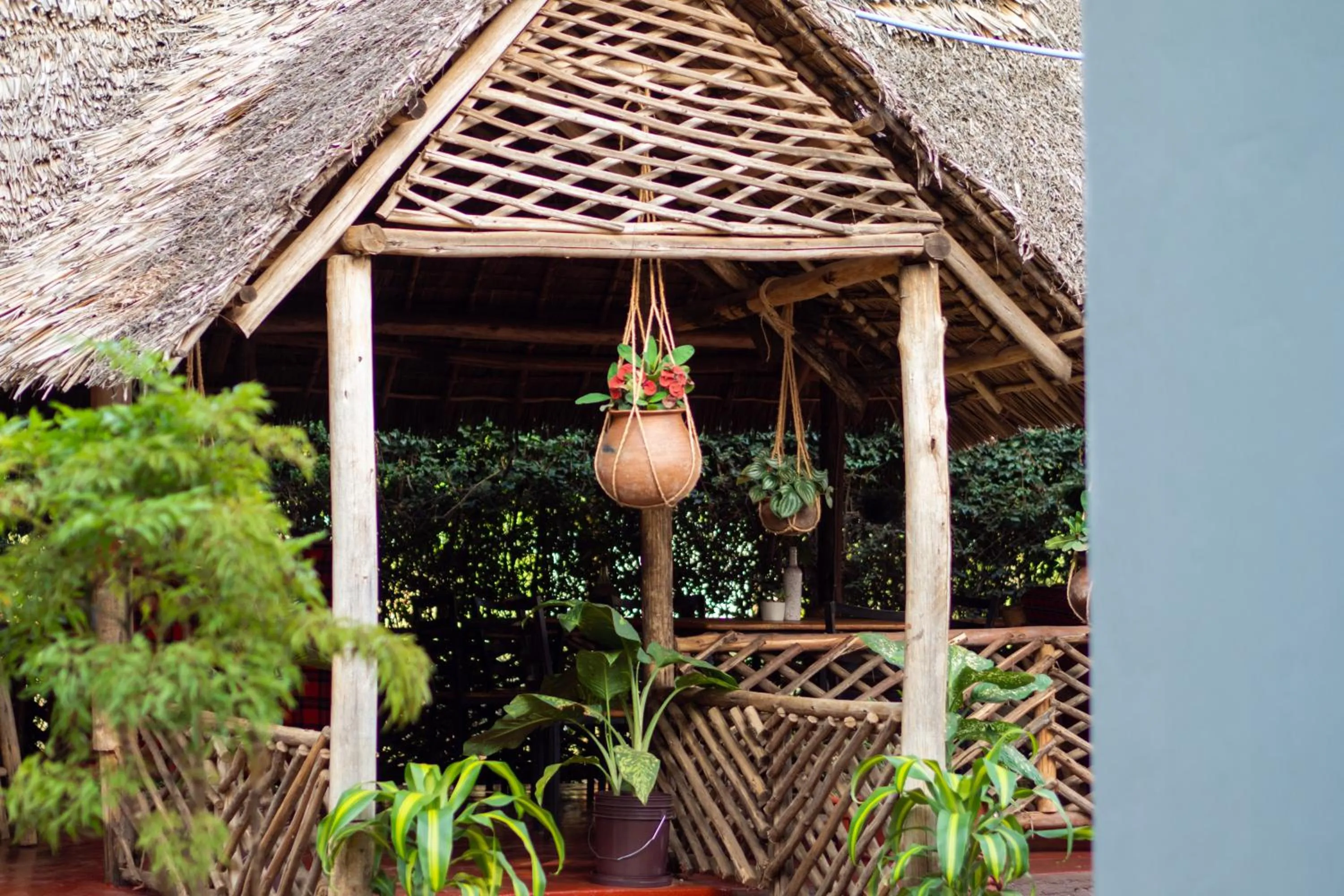 Property building in The Better Inn